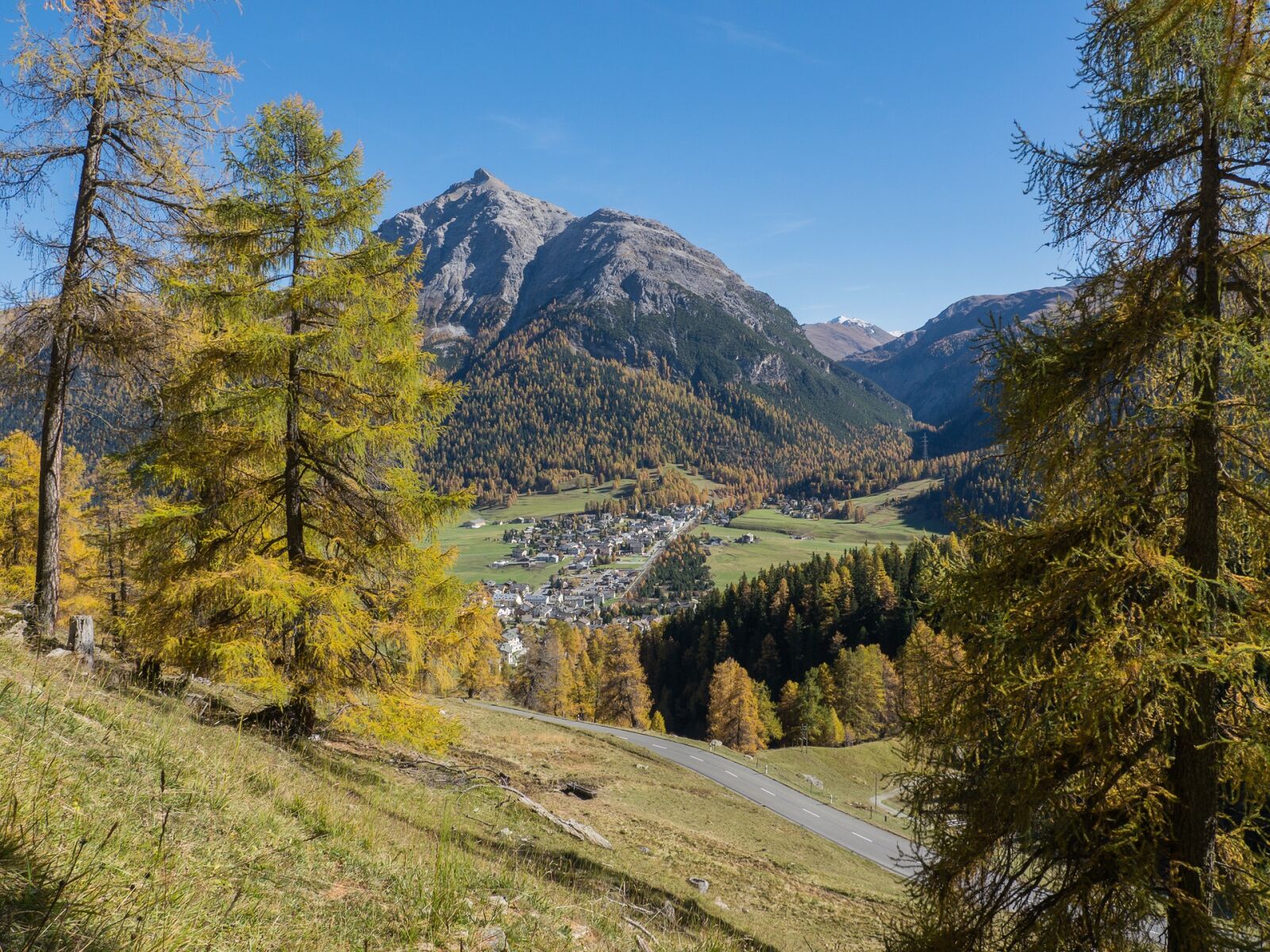 Panasonic Lumix DMC-GH2 + Panasonic Lumix G Vario HD 14-140mm F4-5.8 OIS sample photo. Switzerland, engadin, autumn photography