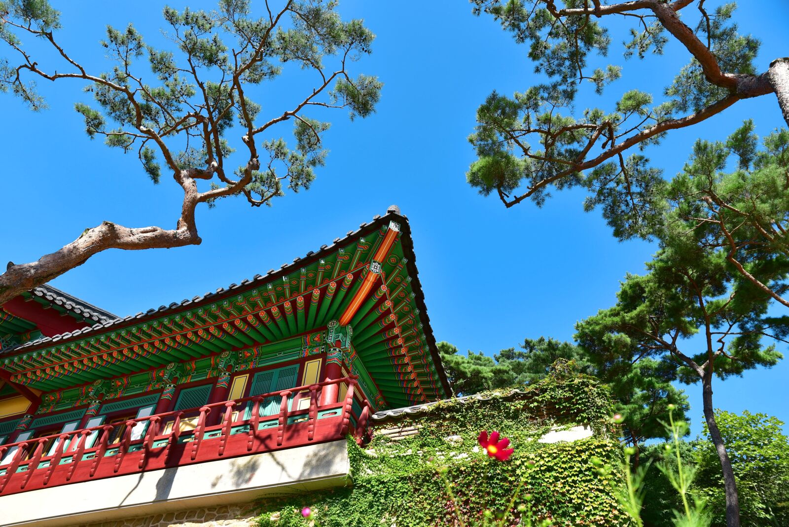 Nikon D750 sample photo. Temple, korea, incheon photography