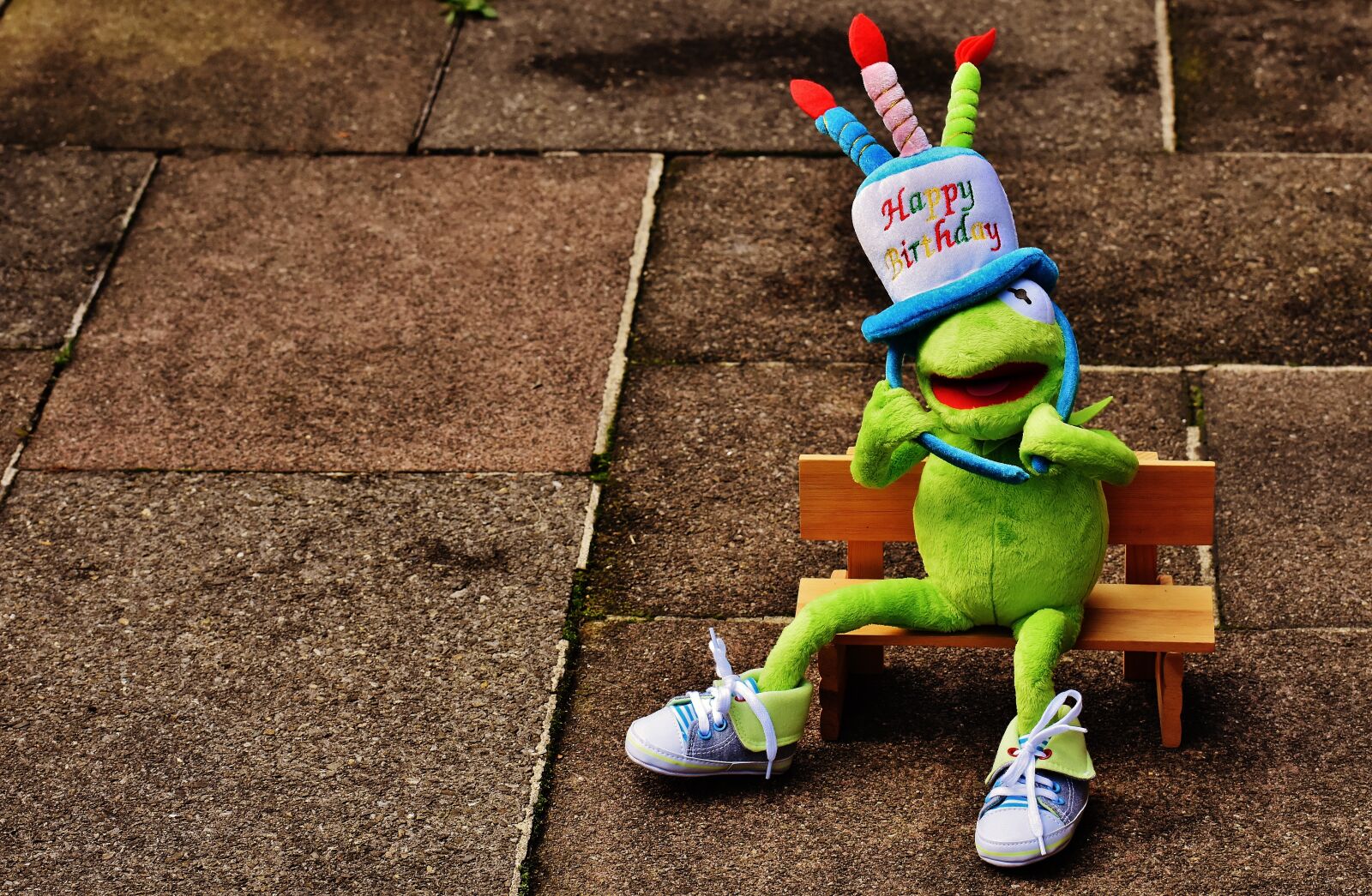 Nikon D7200 sample photo. Birthday, congratulations, kermit photography
