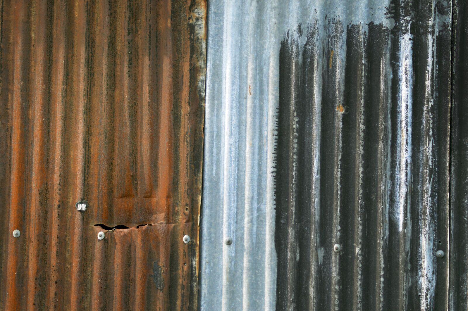 Nikon D3200 sample photo. Sheet, corrugated, rust photography