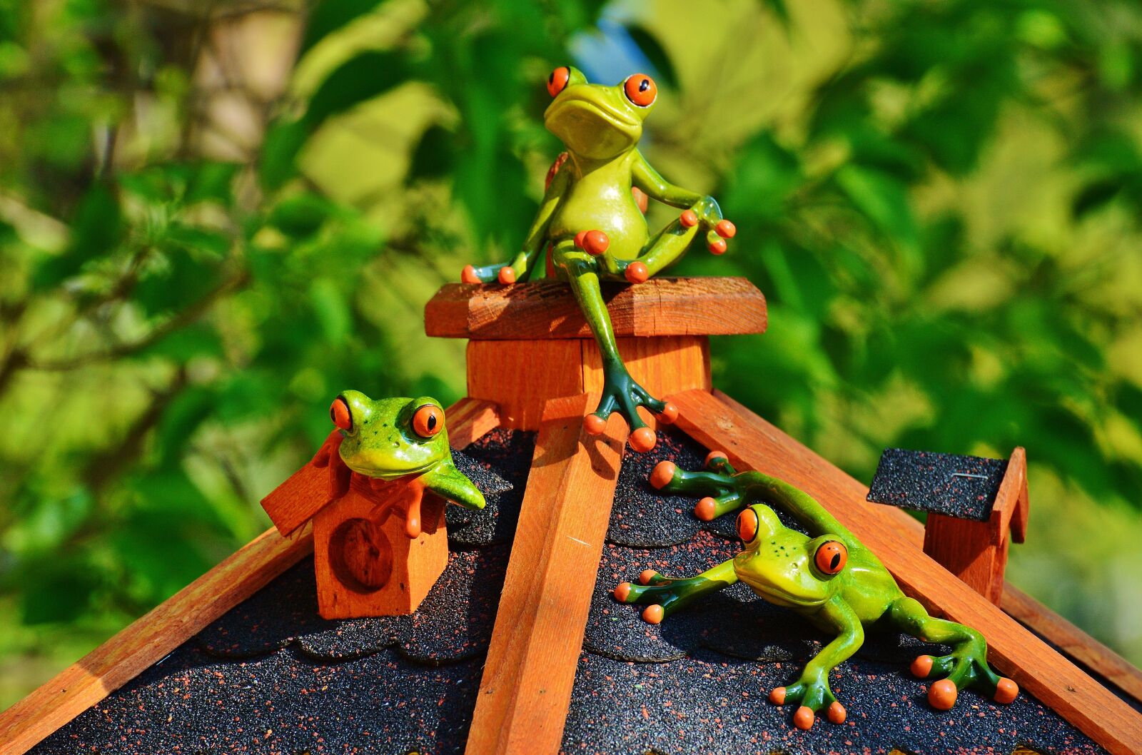 Nikon D3200 sample photo. Frogs, house, roof photography