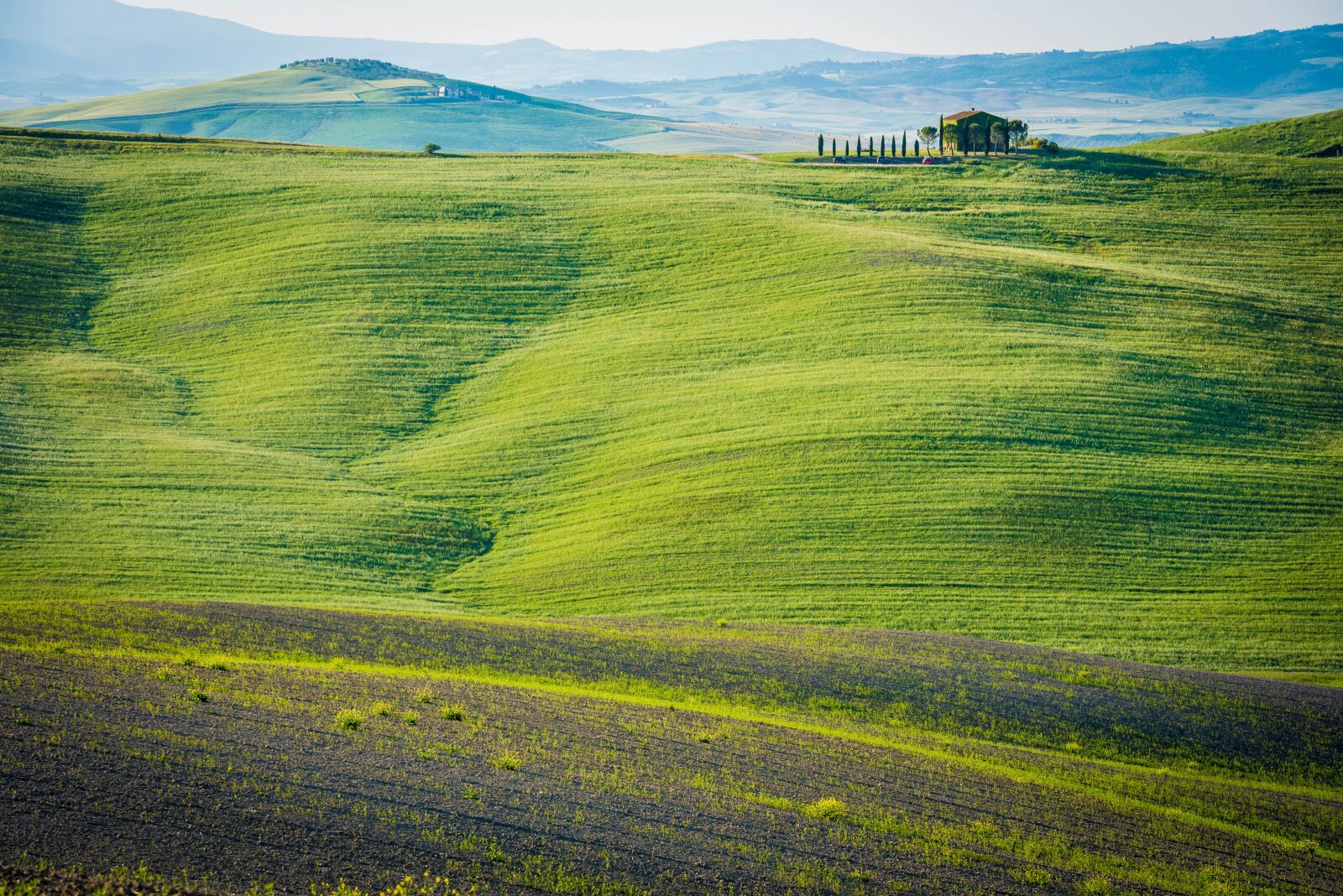 Nikon D750 sample photo. Landscape, grass, field photography
