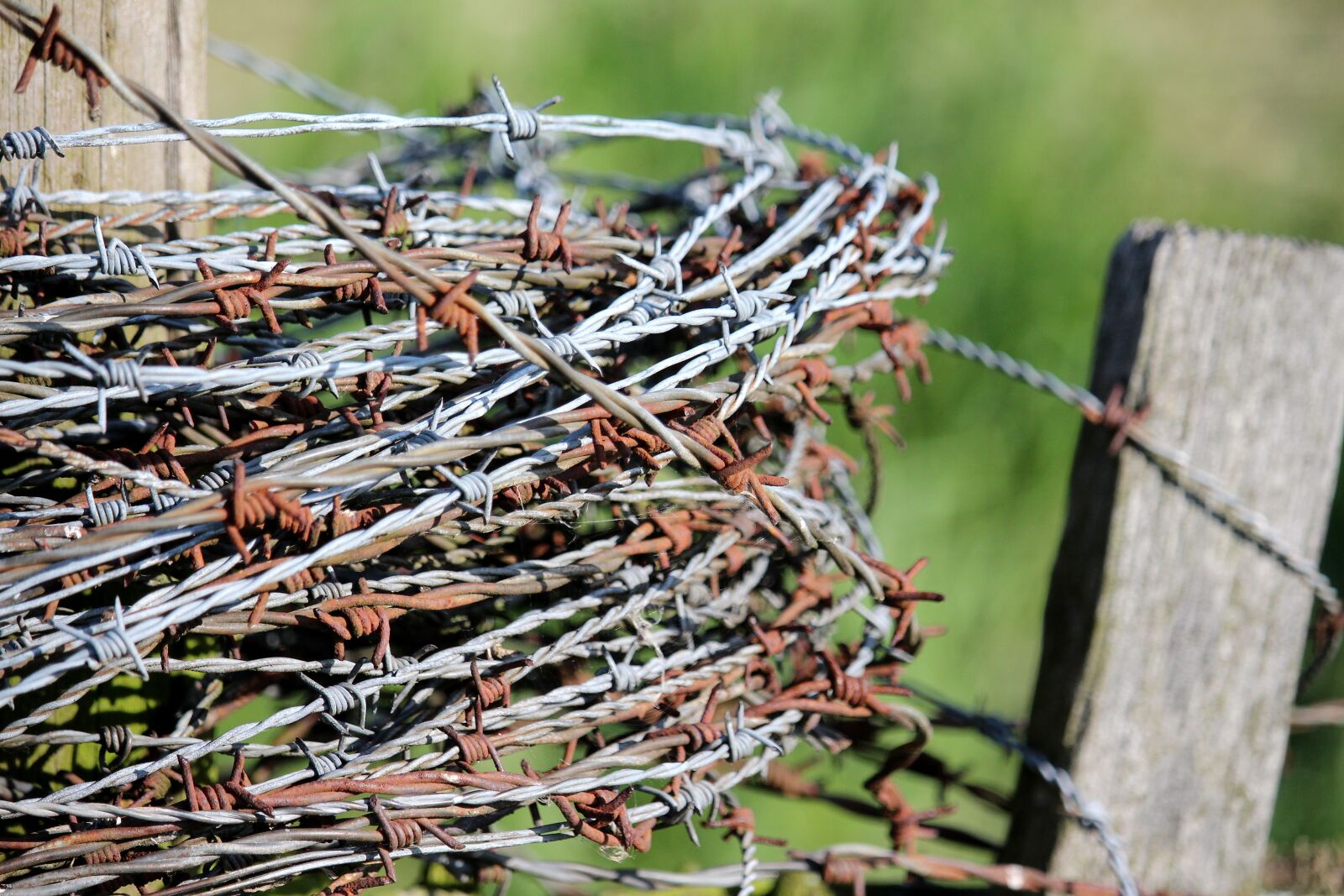 Canon EF-S 55-250mm F4-5.6 IS STM sample photo. Barbed wire, fence, old photography