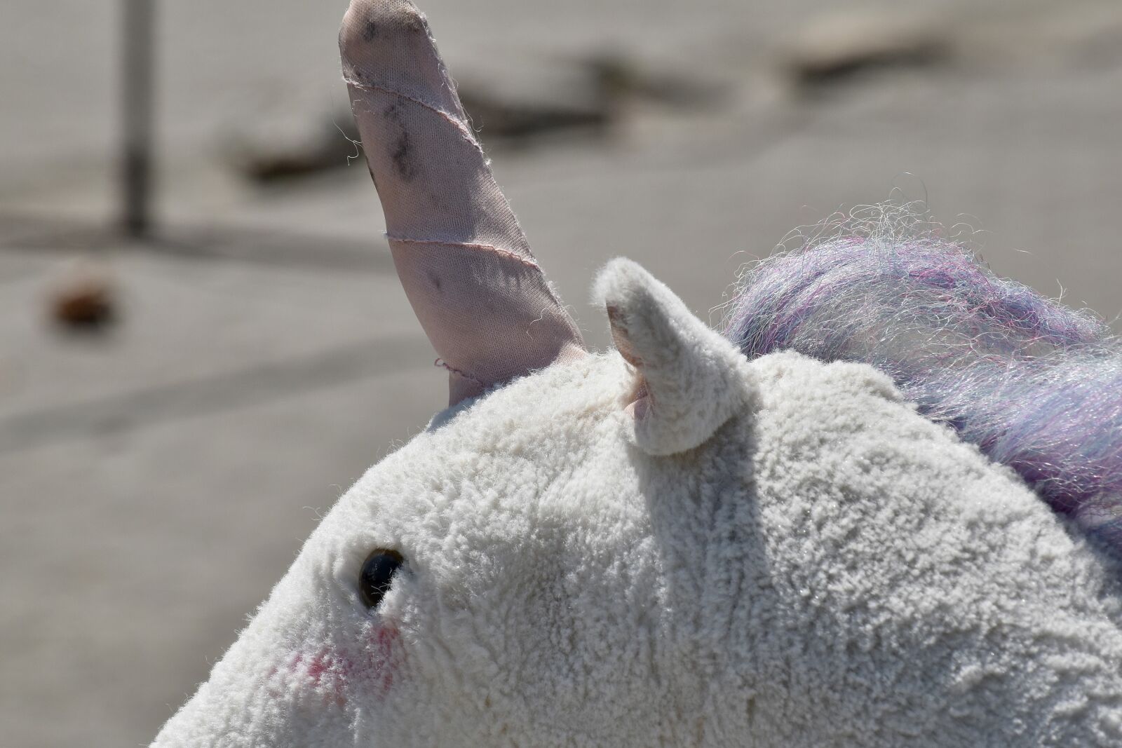 Nikon D5500 sample photo. Horn, horse, plush, toy photography