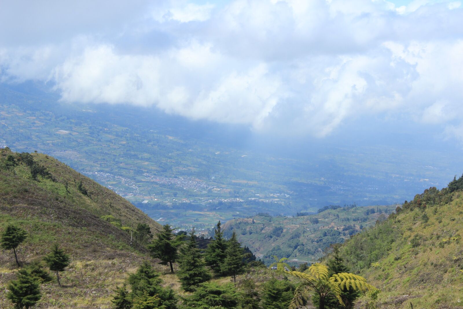 Canon EOS 600D (Rebel EOS T3i / EOS Kiss X5) sample photo. Wonosobo, prau mountain, gunung photography