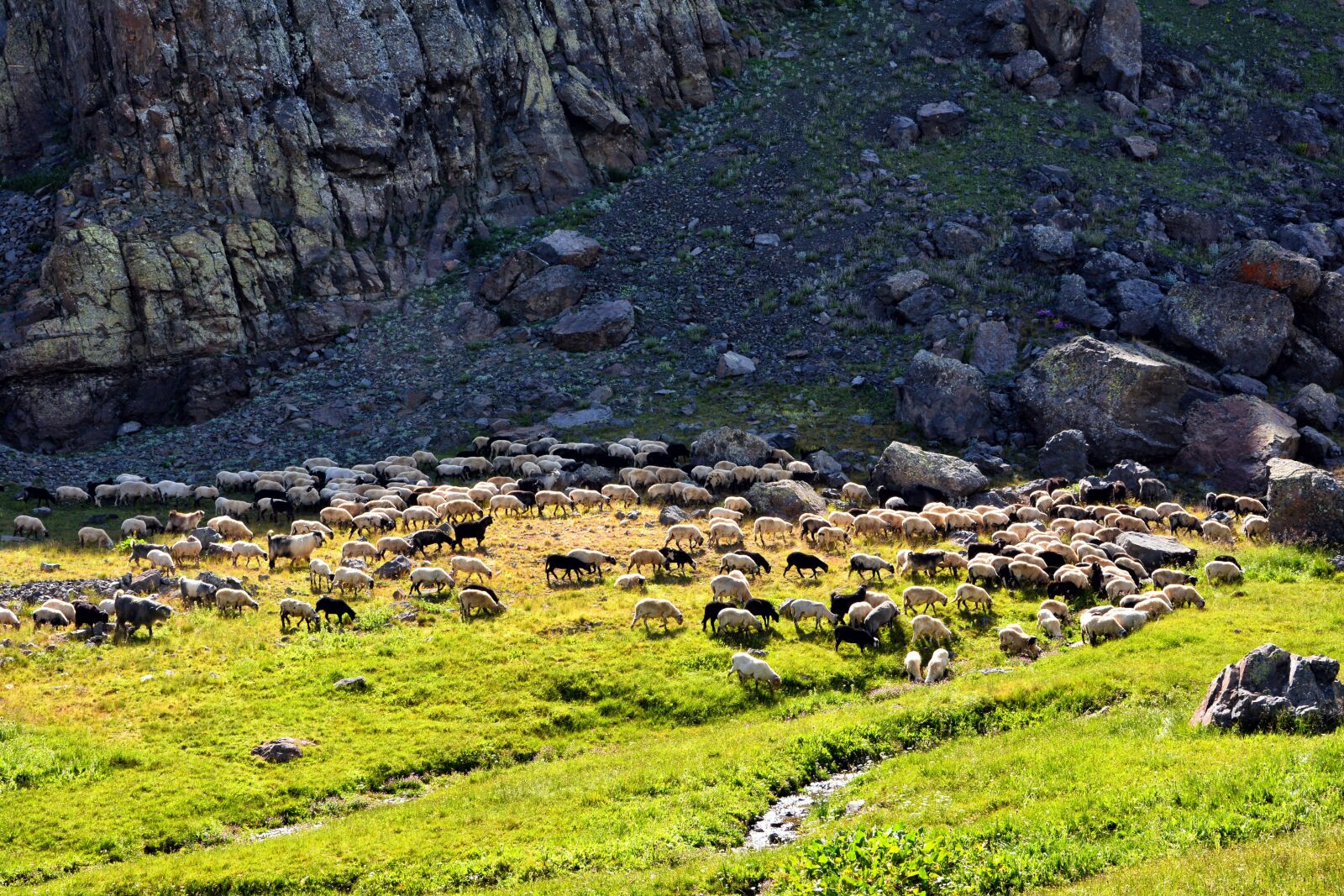 Nikon D7100 sample photo. Mountain, highland, nature photography