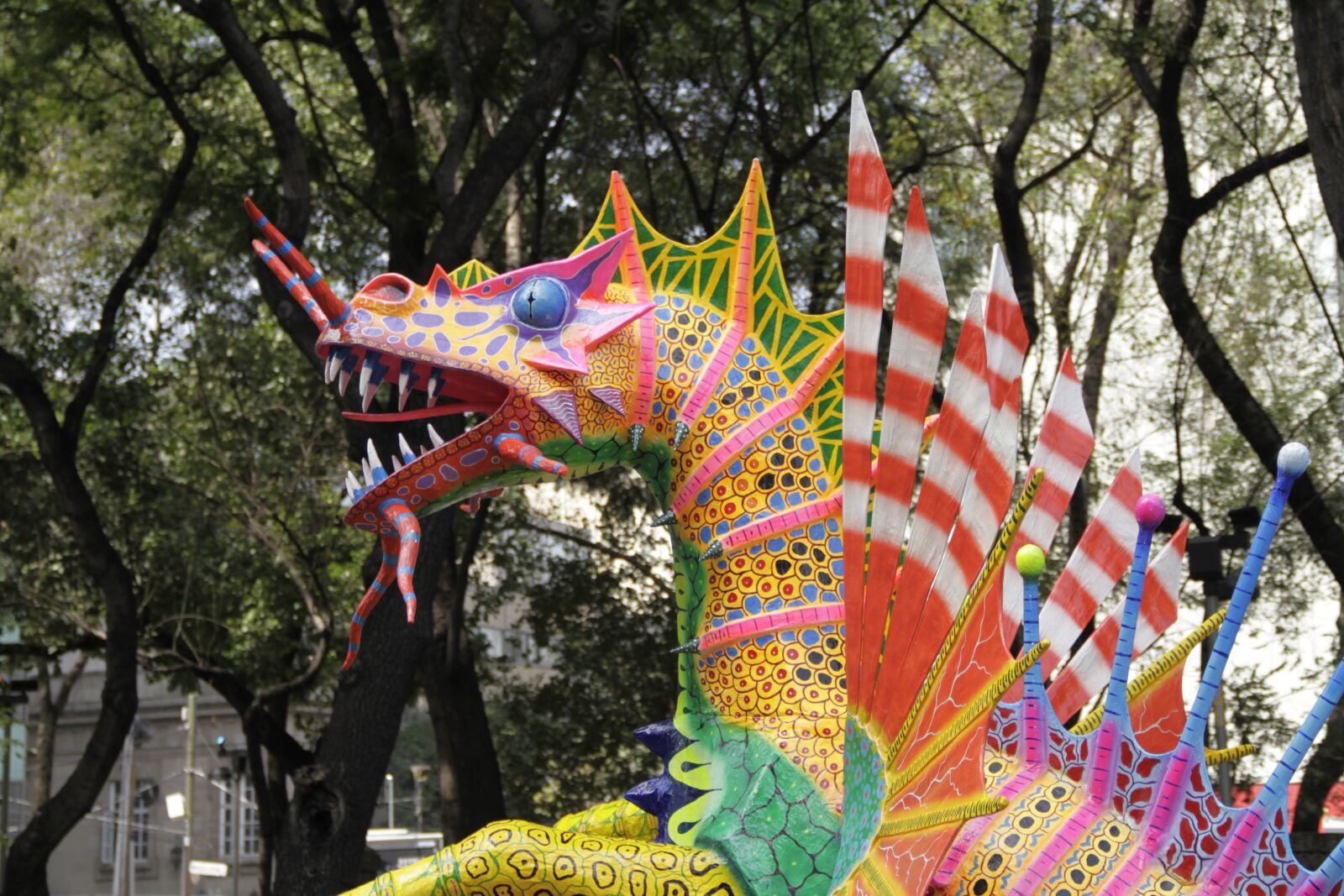 Canon EOS 7D sample photo. Color, mexico, mexico city photography