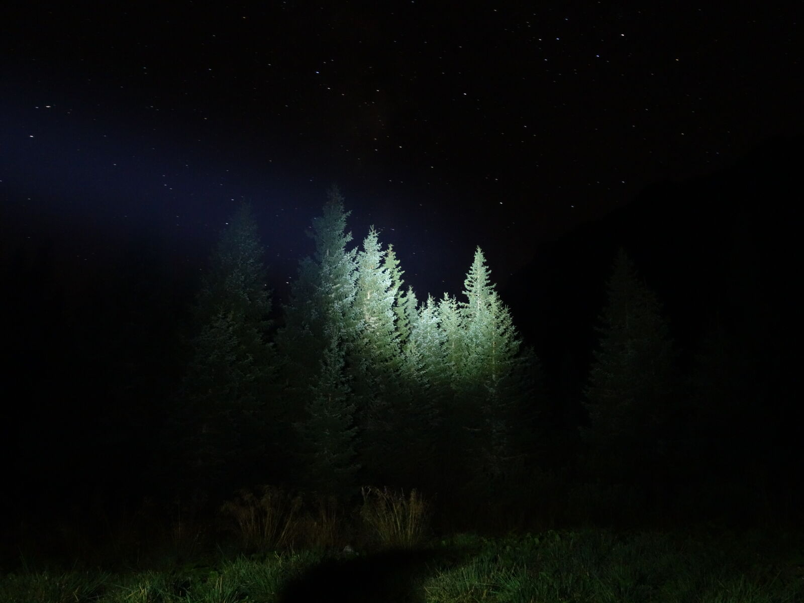 Sony Cyber-shot DSC-RX100 sample photo. Late, night, light, stars photography