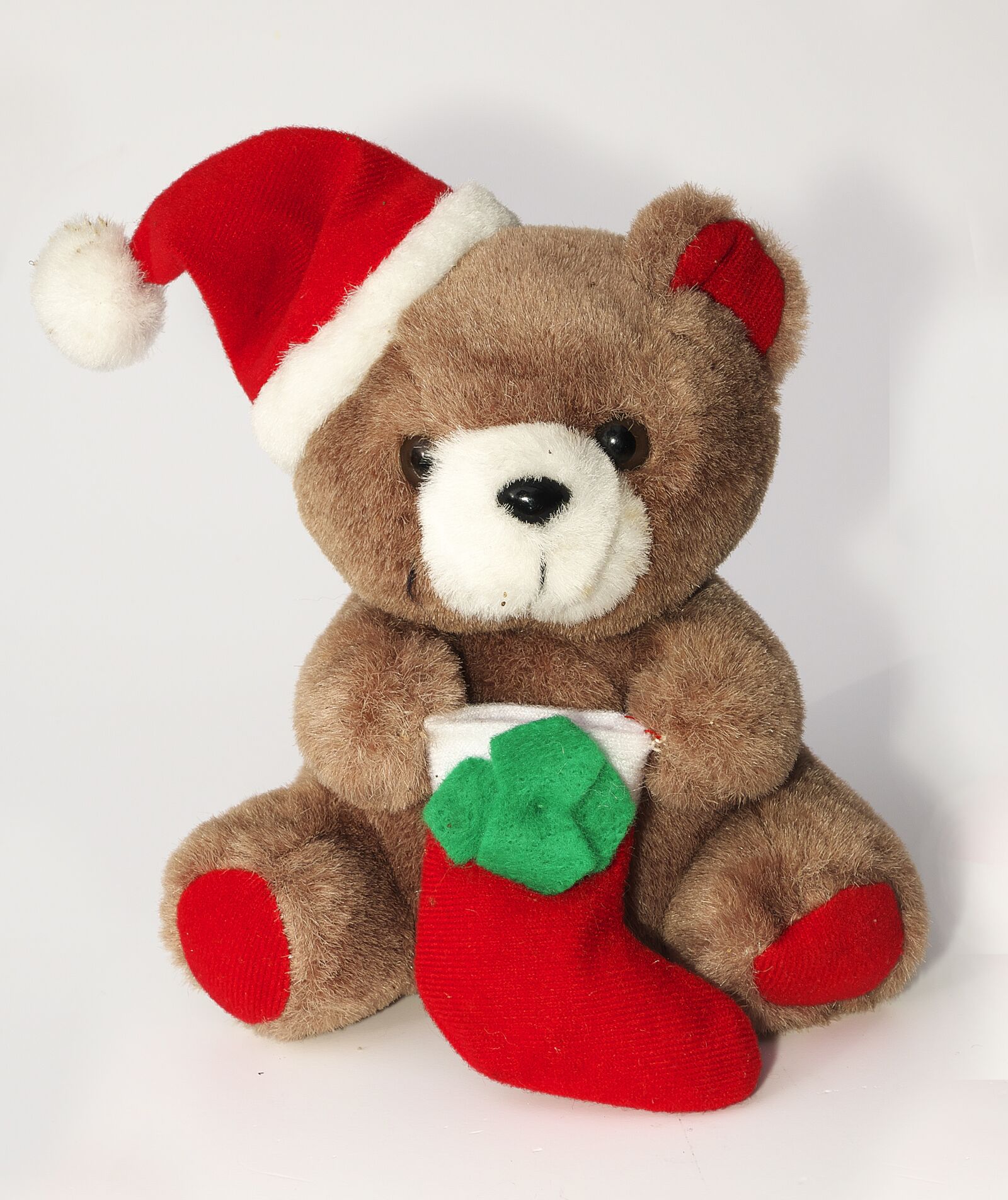 Panasonic Lumix DMC-FZ1000 sample photo. Furry teddy bear, nicholas photography