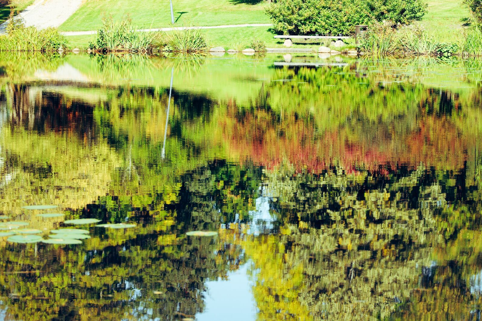 Canon EOS R sample photo. Autumn, landscape, colorful photography
