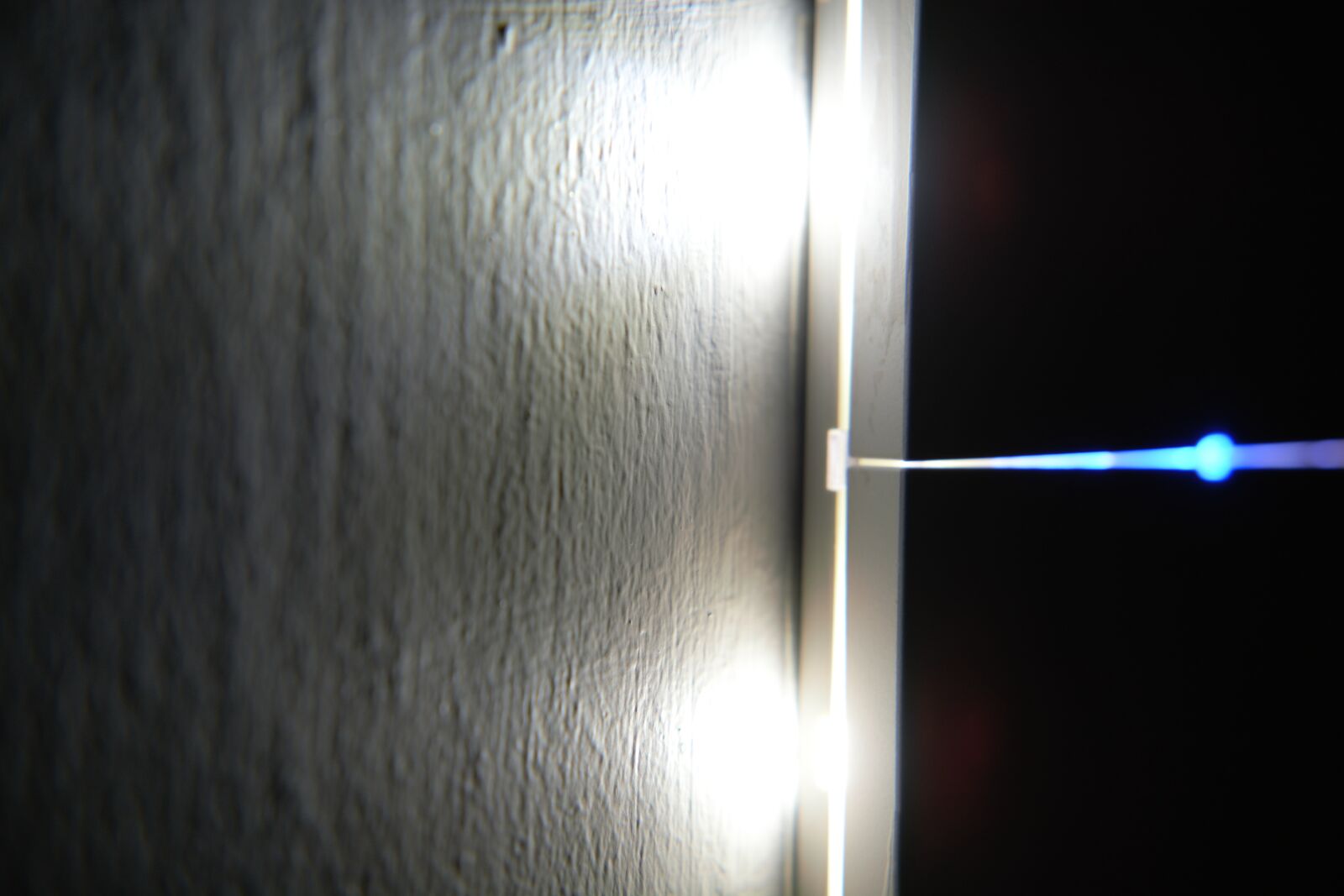 Nikon D7100 sample photo. Macro, micro, reflection wall photography