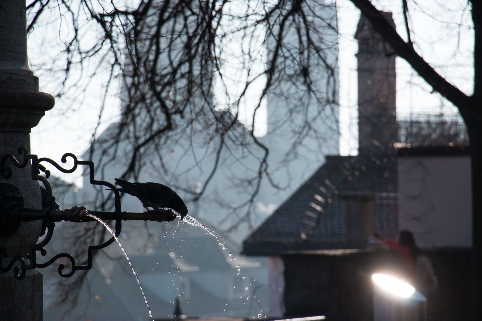 Canon EOS 70D sample photo. Winter, snow, cold photography