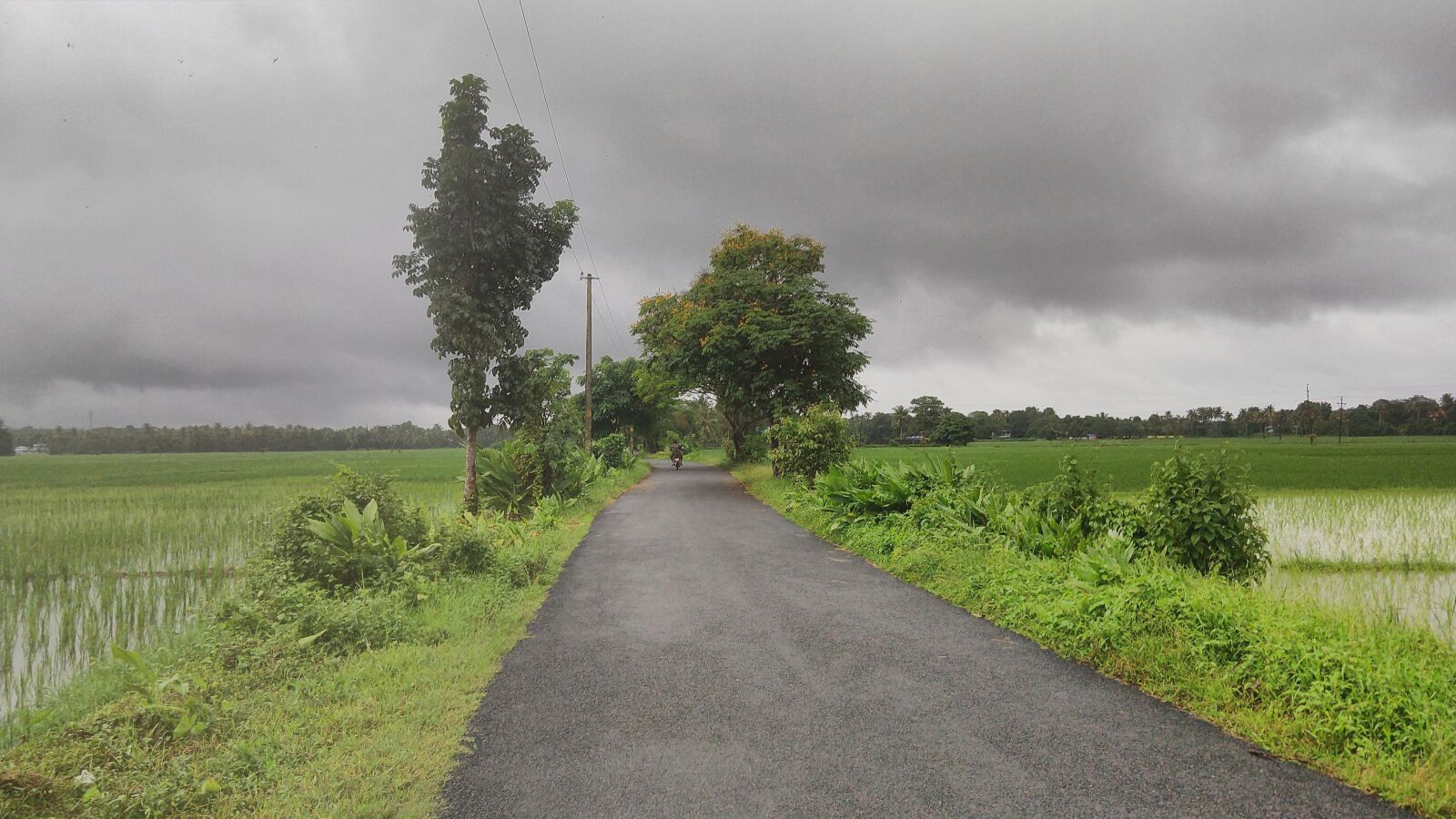 Motorola moto x4 sample photo. Kerala, monsoon, road photography