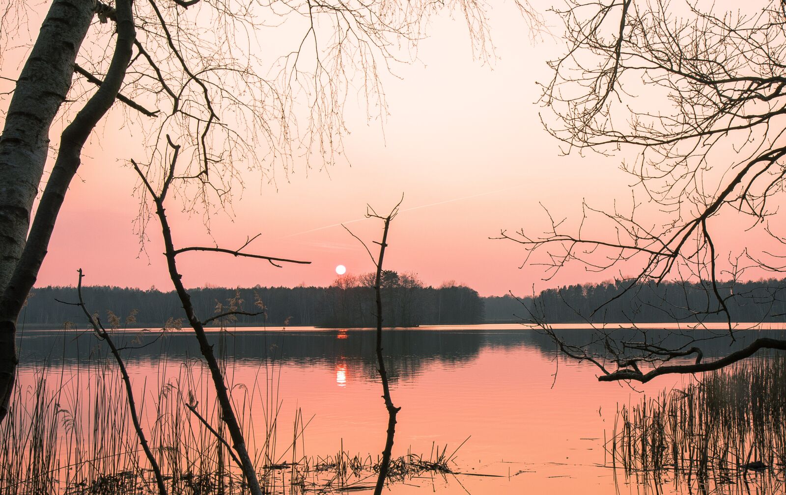 Canon EOS 80D sample photo. Waters, nature, dawn photography