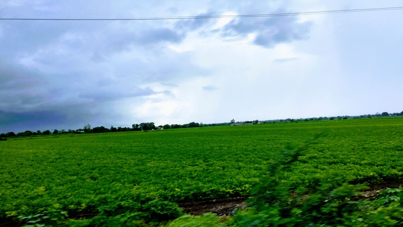 Motorola Moto G (5S) Plus sample photo. Green, sky, blue photography