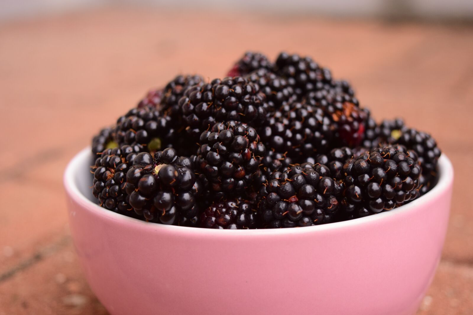 Nikon D3300 sample photo. Blackberries, bowl, fruit photography