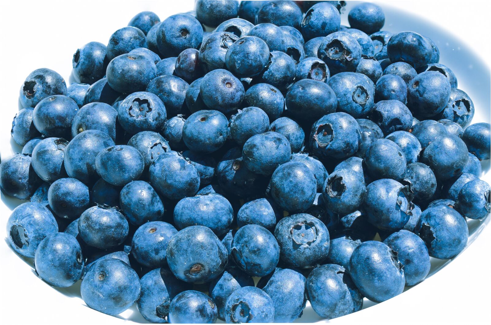 Nikon D5600 sample photo. Blueberries, fruit, fresh photography