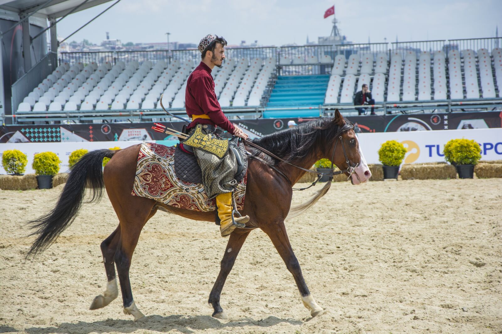 Nikon D5200 sample photo. Horse, animal, open-air photography