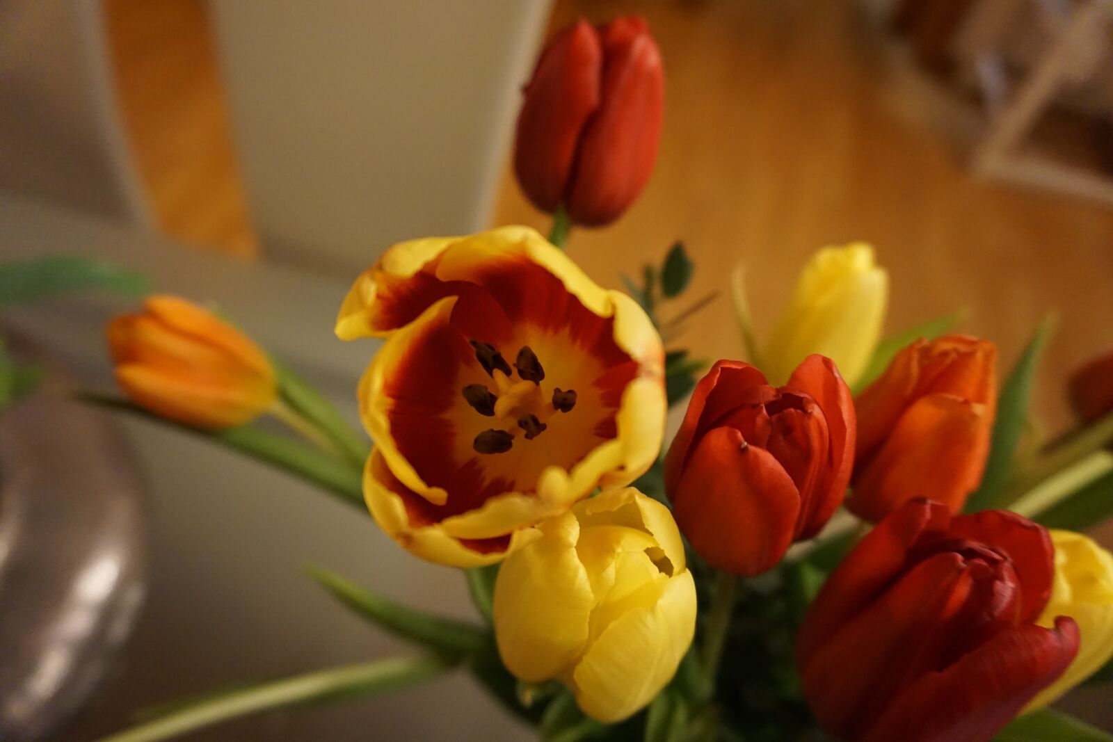Sony a6000 sample photo. Tulips, love, mother's day photography
