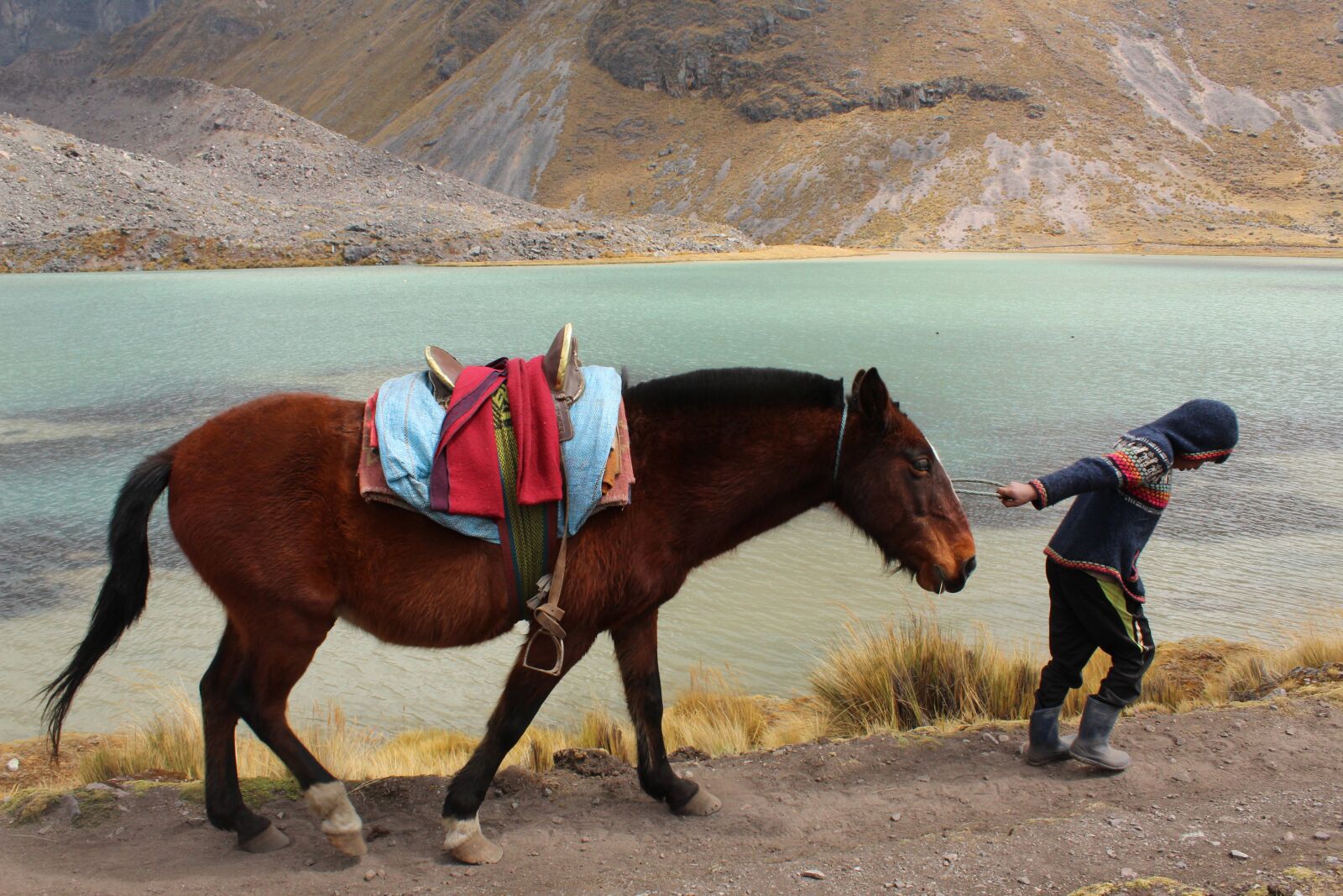 Canon EOS 1300D (EOS Rebel T6 / EOS Kiss X80) sample photo. Horse, child, work photography