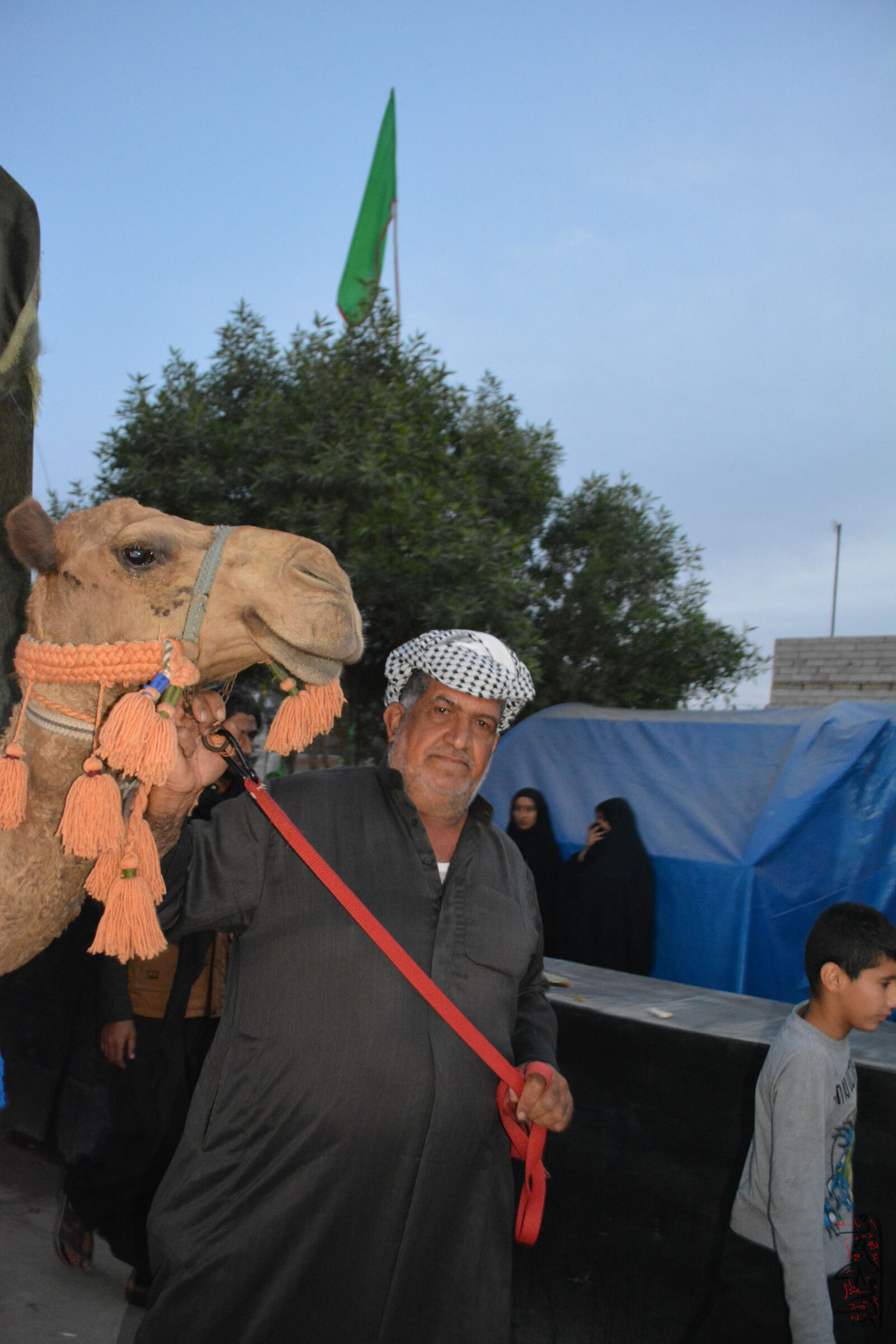 Nikon D5200 sample photo