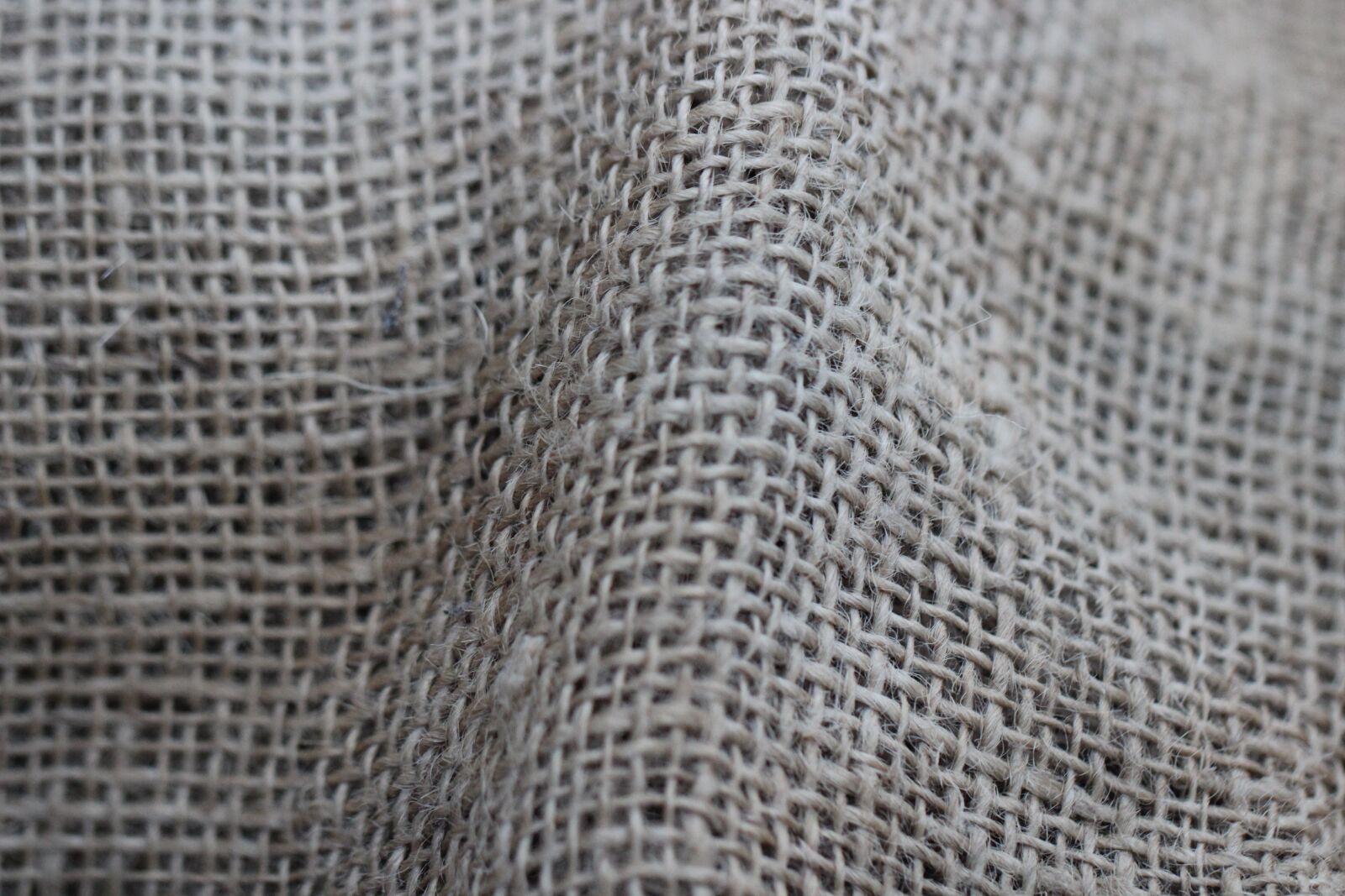 Canon EF 100mm F2.8L Macro IS USM sample photo. Structure, pattern, background photography