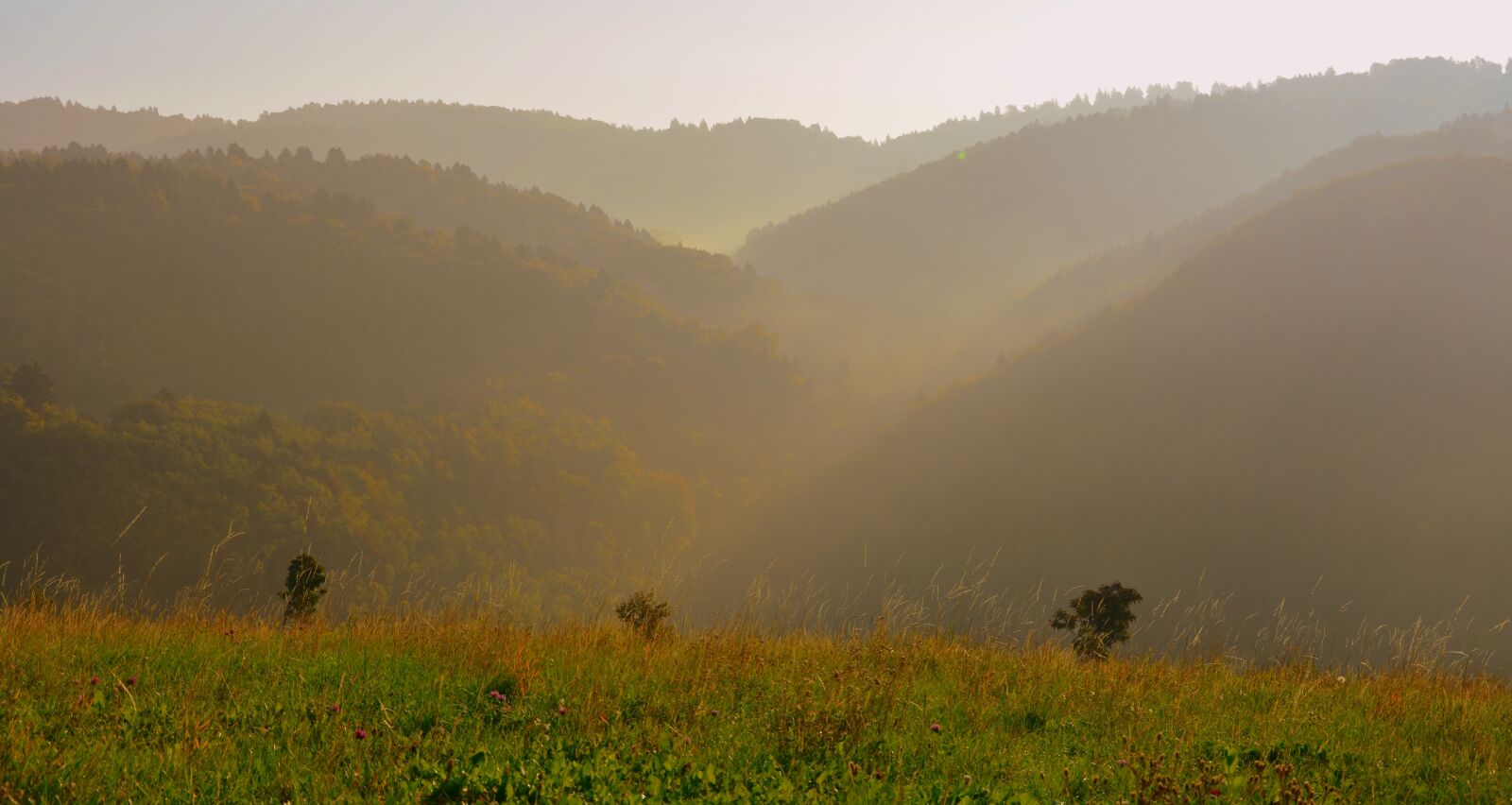 Nikon D7100 sample photo. Mountain, fog, prato photography