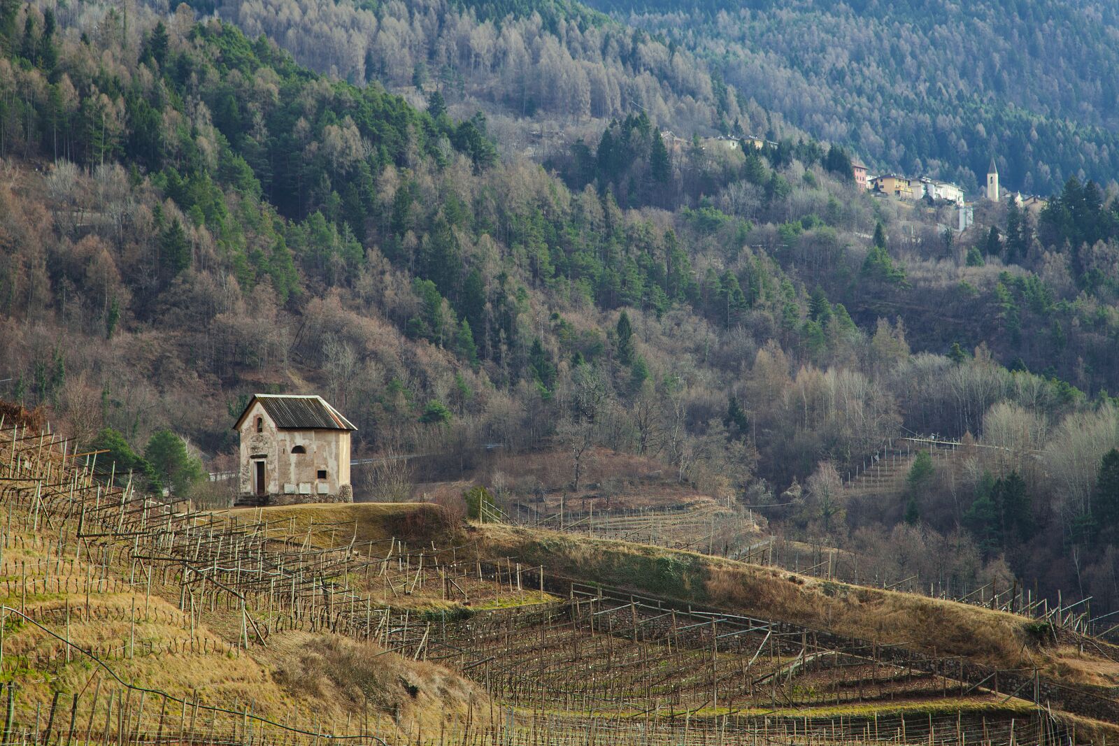 Canon EOS 5D Mark II sample photo. Cembra, trentino, mountain photography