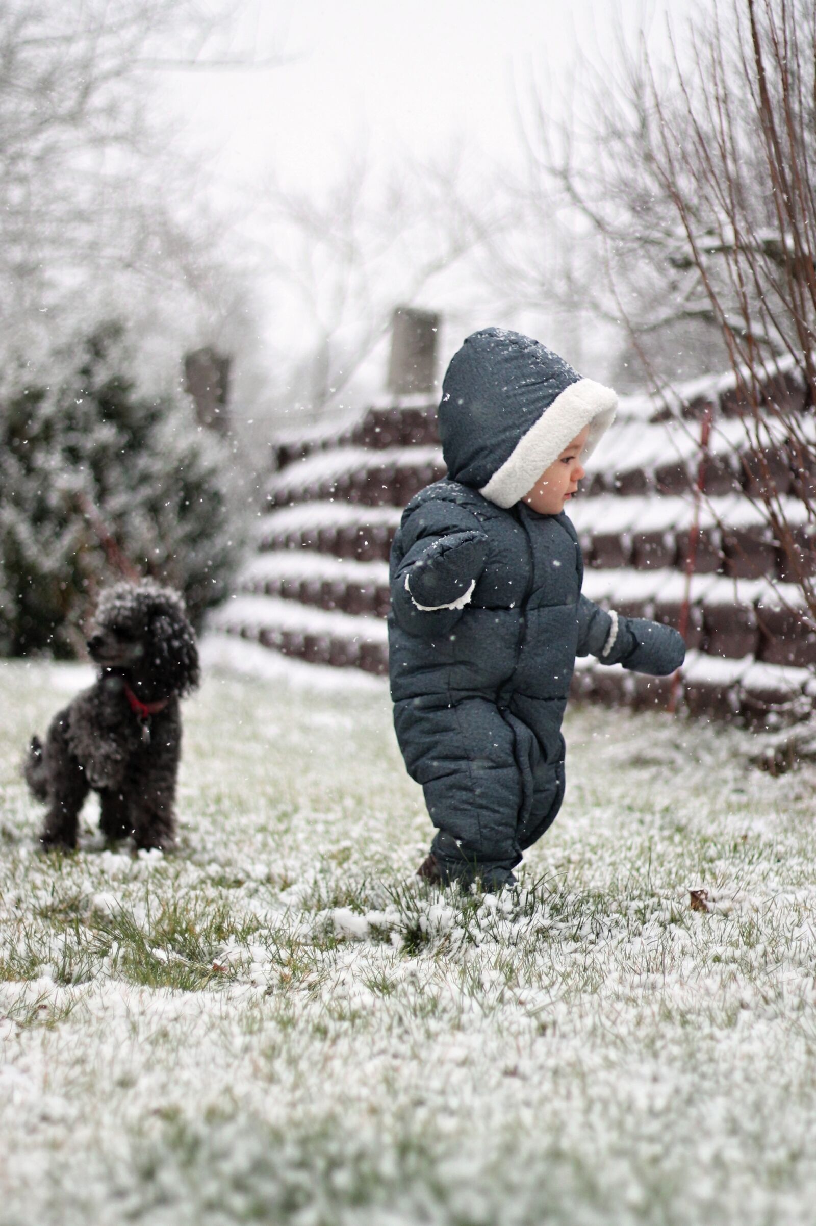 Canon EOS 1100D (EOS Rebel T3 / EOS Kiss X50) + Canon EF 50mm F1.8 II sample photo. Child, snow, snowing photography