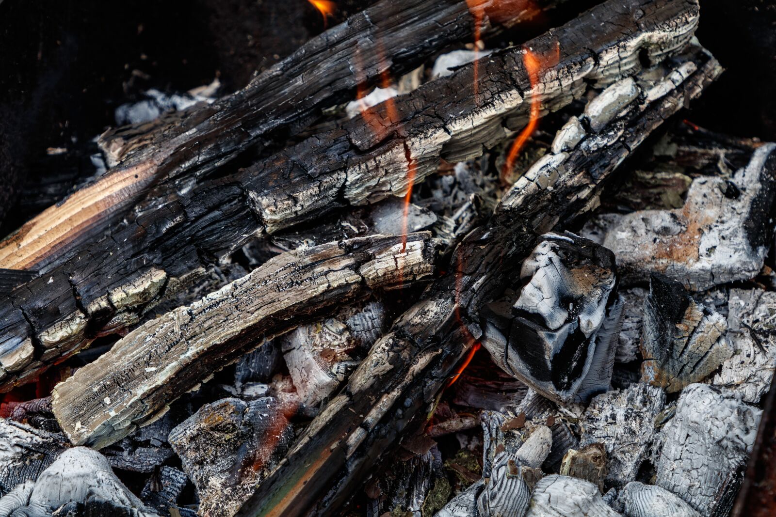 Canon EF 24-105mm F4L IS II USM sample photo. Fire, red, coals photography