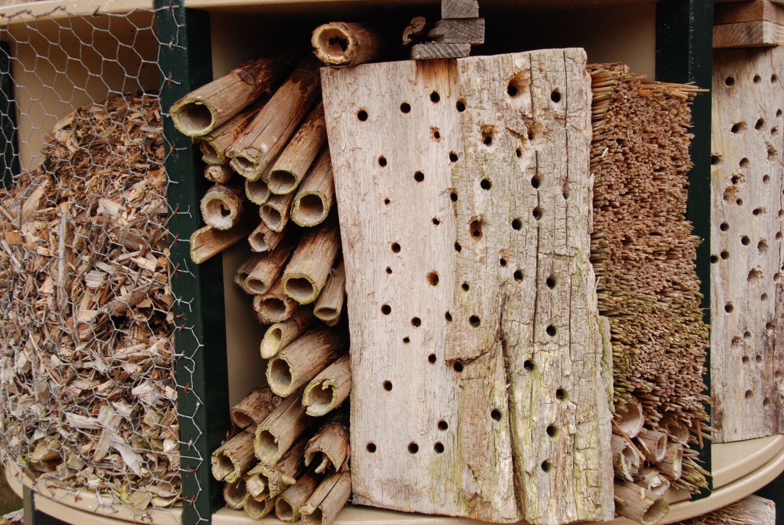 Nikon D80 sample photo. Bug, insects hotel, hotel photography