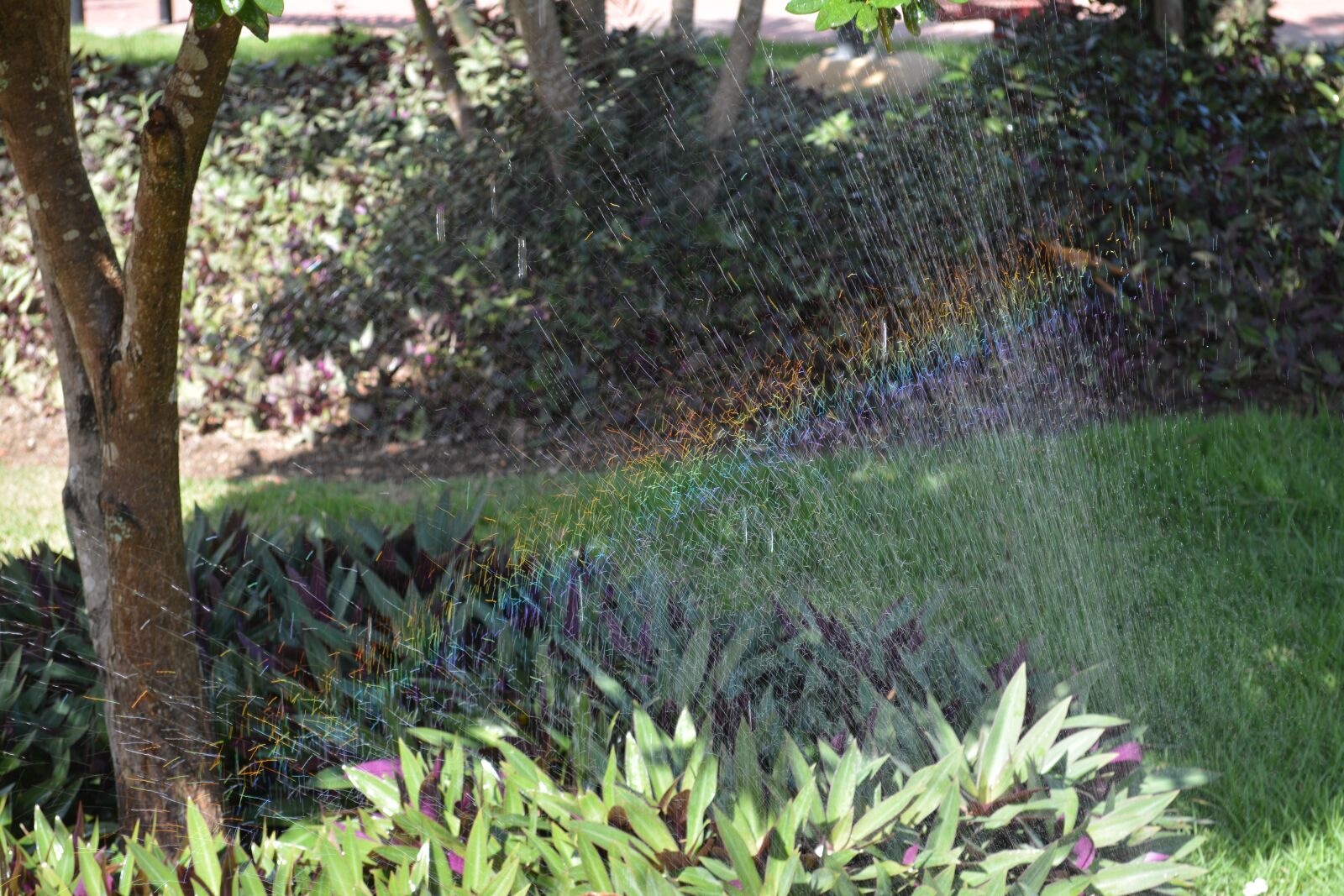 Nikon D5200 sample photo. Rainbow, water, nature photography