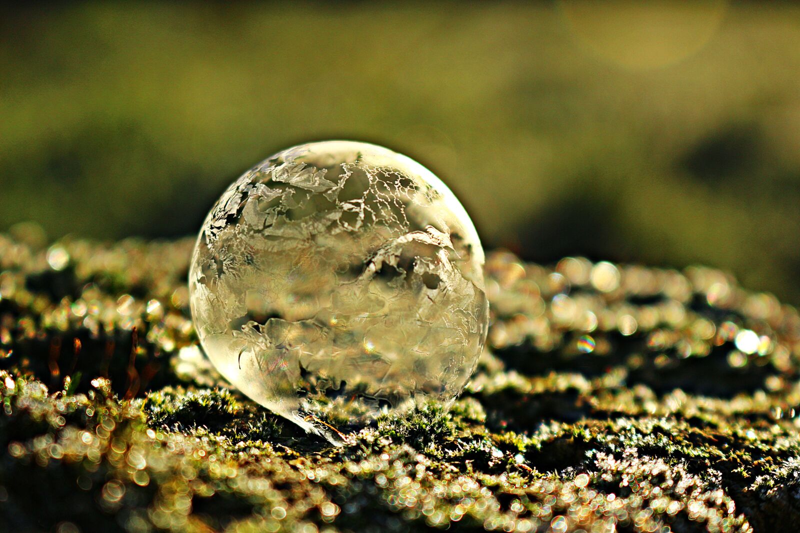 Canon EOS 100D (EOS Rebel SL1 / EOS Kiss X7) sample photo. Frozen bubble, ice bubble photography