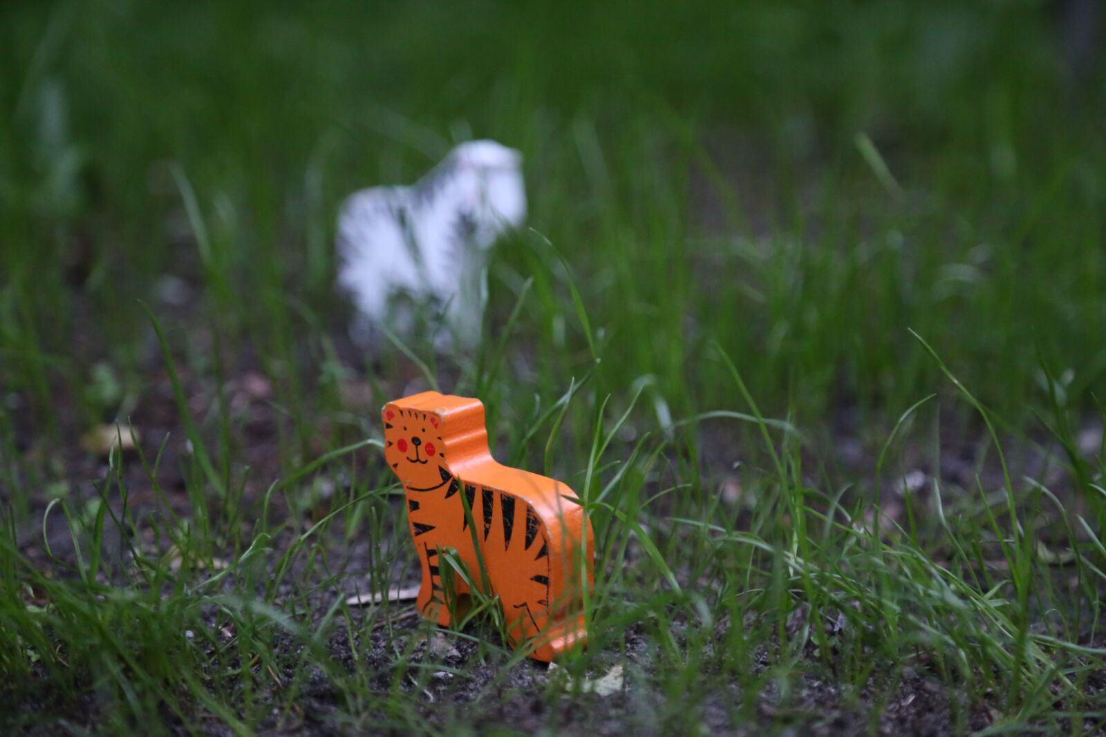 Canon EOS 6D + Canon EF 24-105mm F4L IS USM sample photo. Wooden toy, toy, children photography