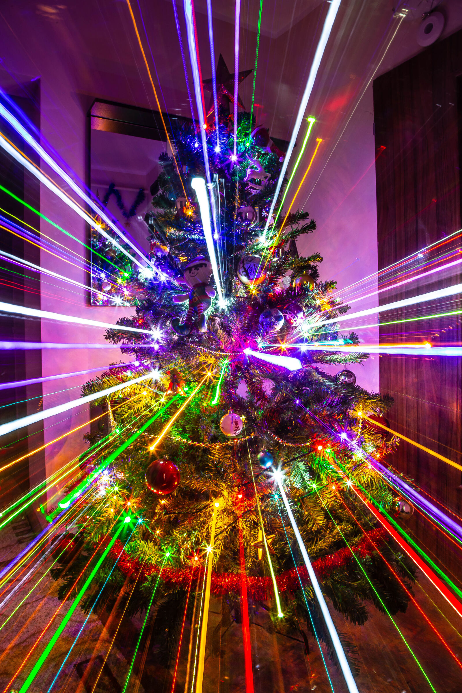 Canon EOS 6D sample photo. Christmas tree photography
