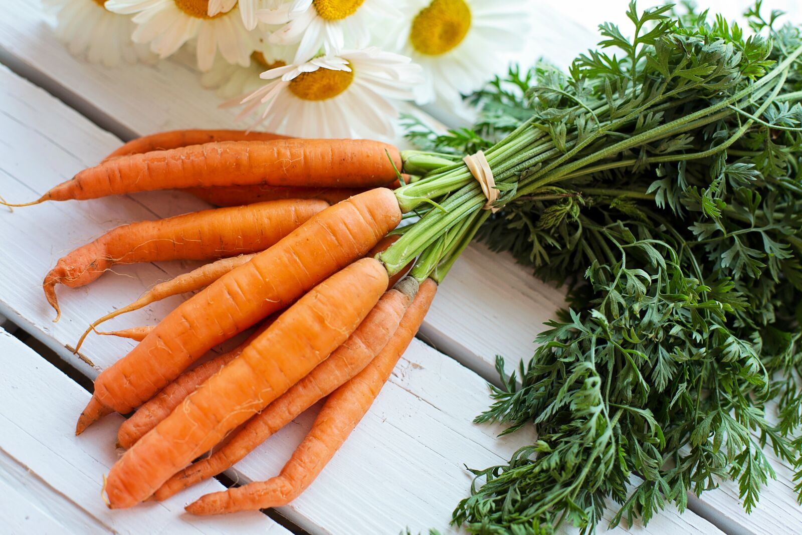 Canon EF 50mm F1.4 USM sample photo. Vegetable, carrots, food photography