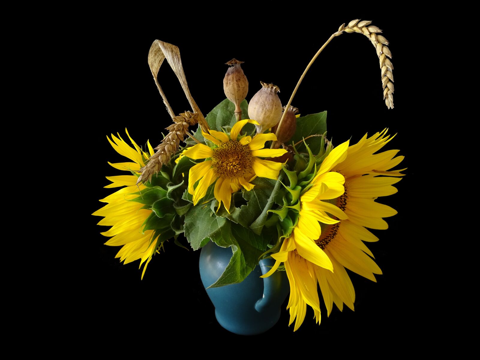 Sony Cyber-shot DSC-HX400V sample photo. Flower, sunflower, economic plant photography