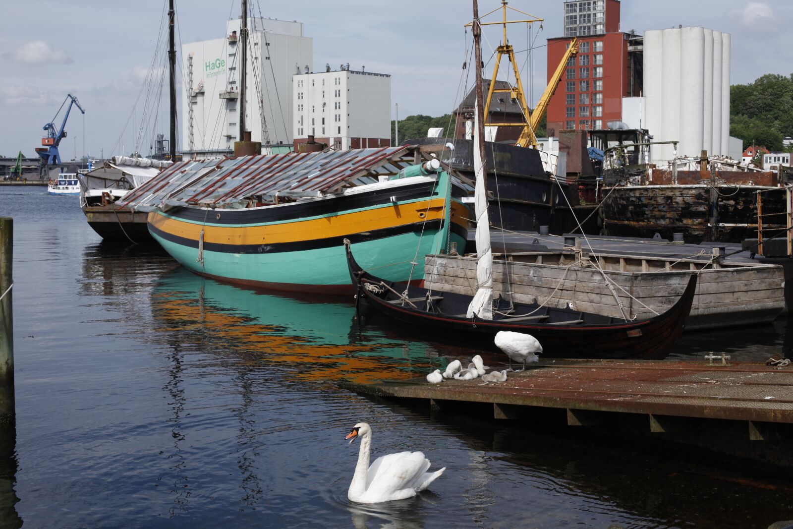 Canon EOS 5D Mark II sample photo. Flensburg, port, swan photography