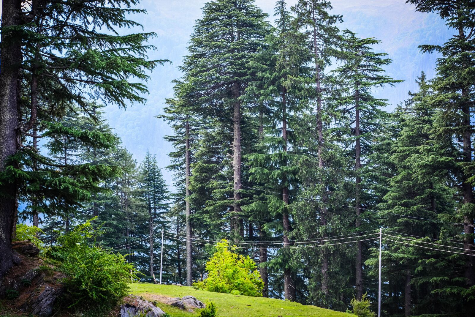Nikon D5200 sample photo. Himalayas, himachal, india photography