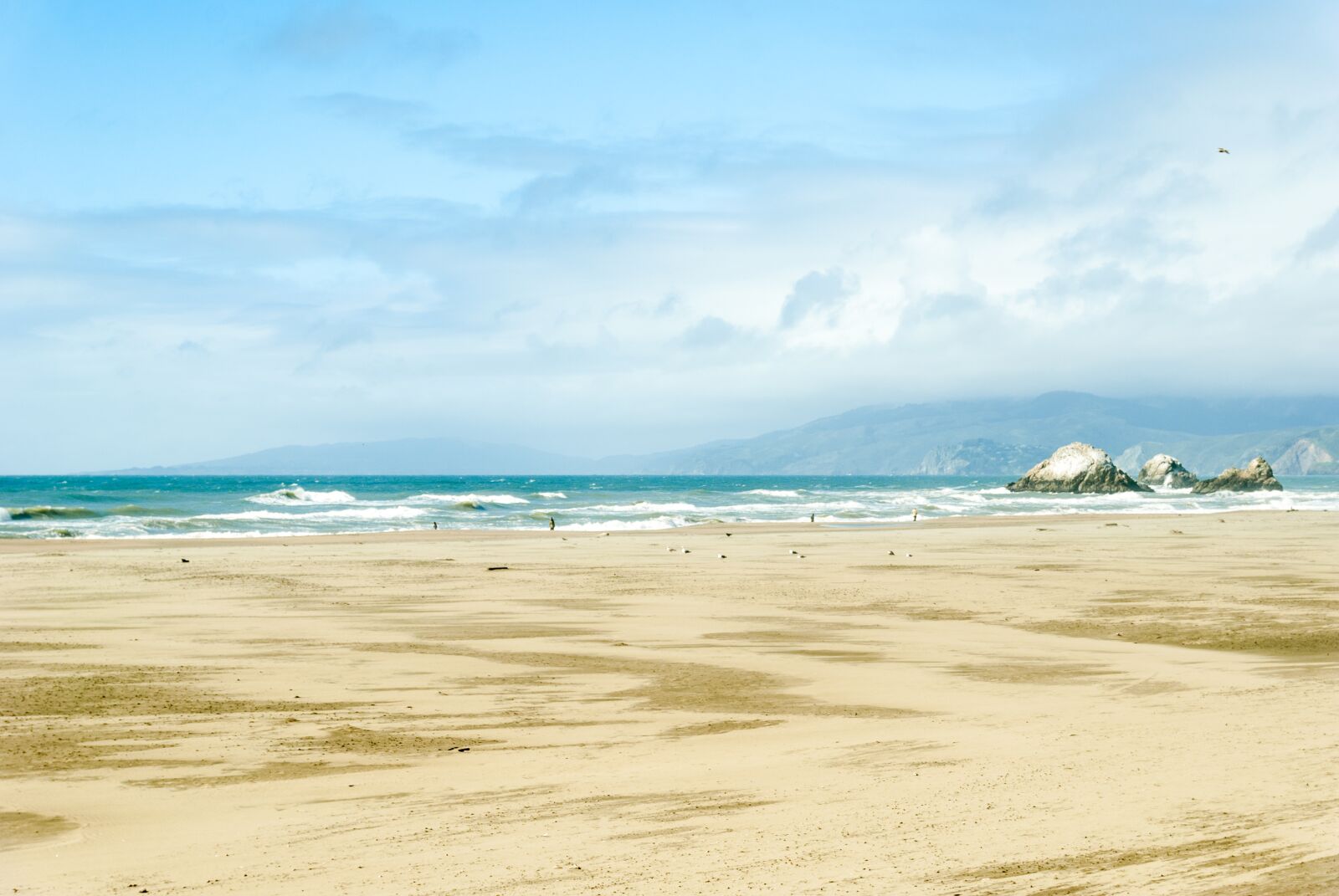 Nikon D60 sample photo. Beach, san francisco, ocean photography