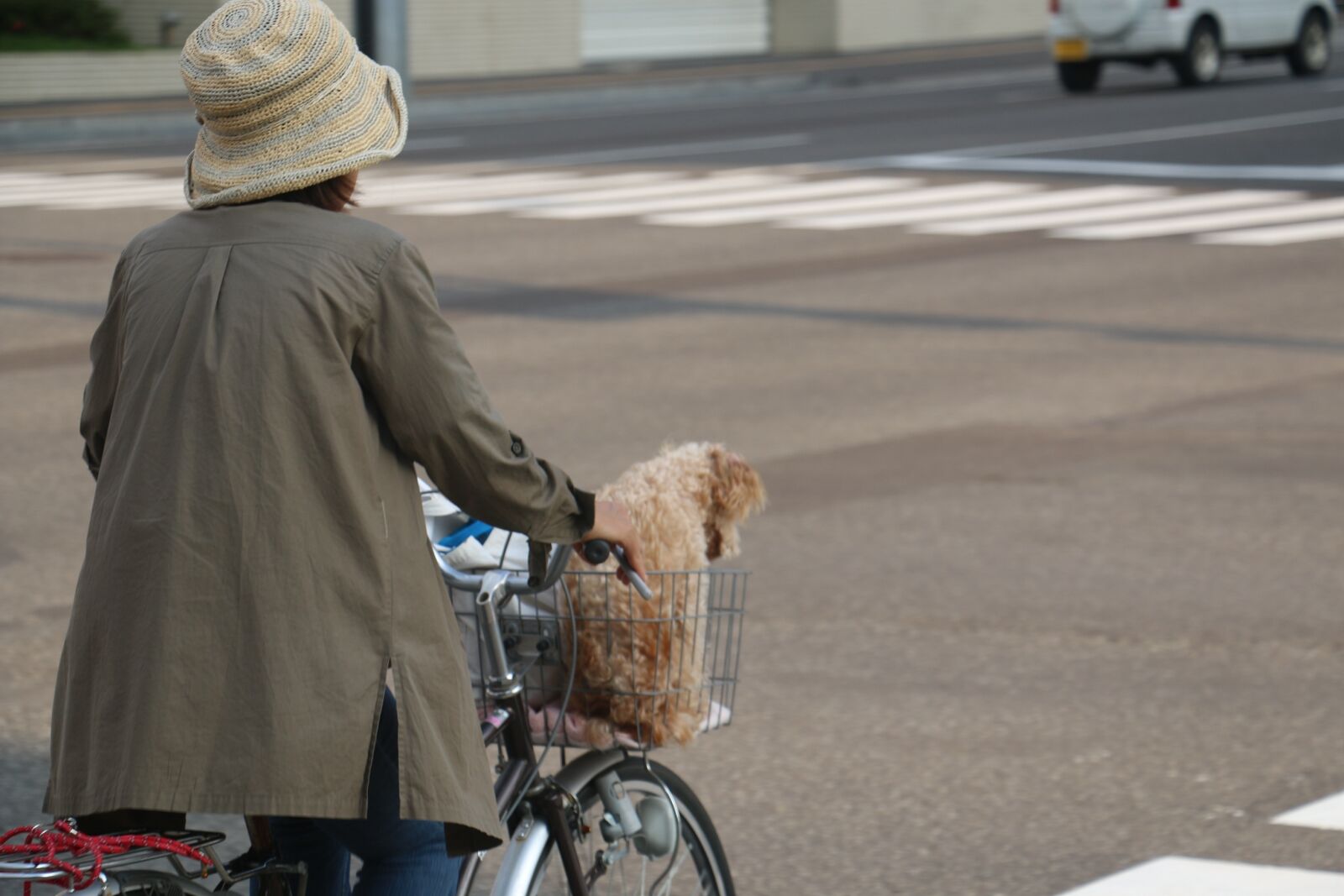 Canon EOS 70D sample photo. Japan, street view, woman photography