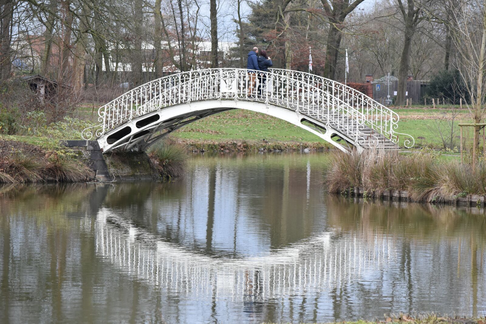 Nikon D7200 sample photo. Bridge, water, nature photography