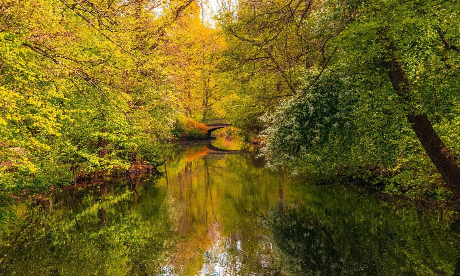 Nikon D3300 sample photo. Berlin, park, bridge photography