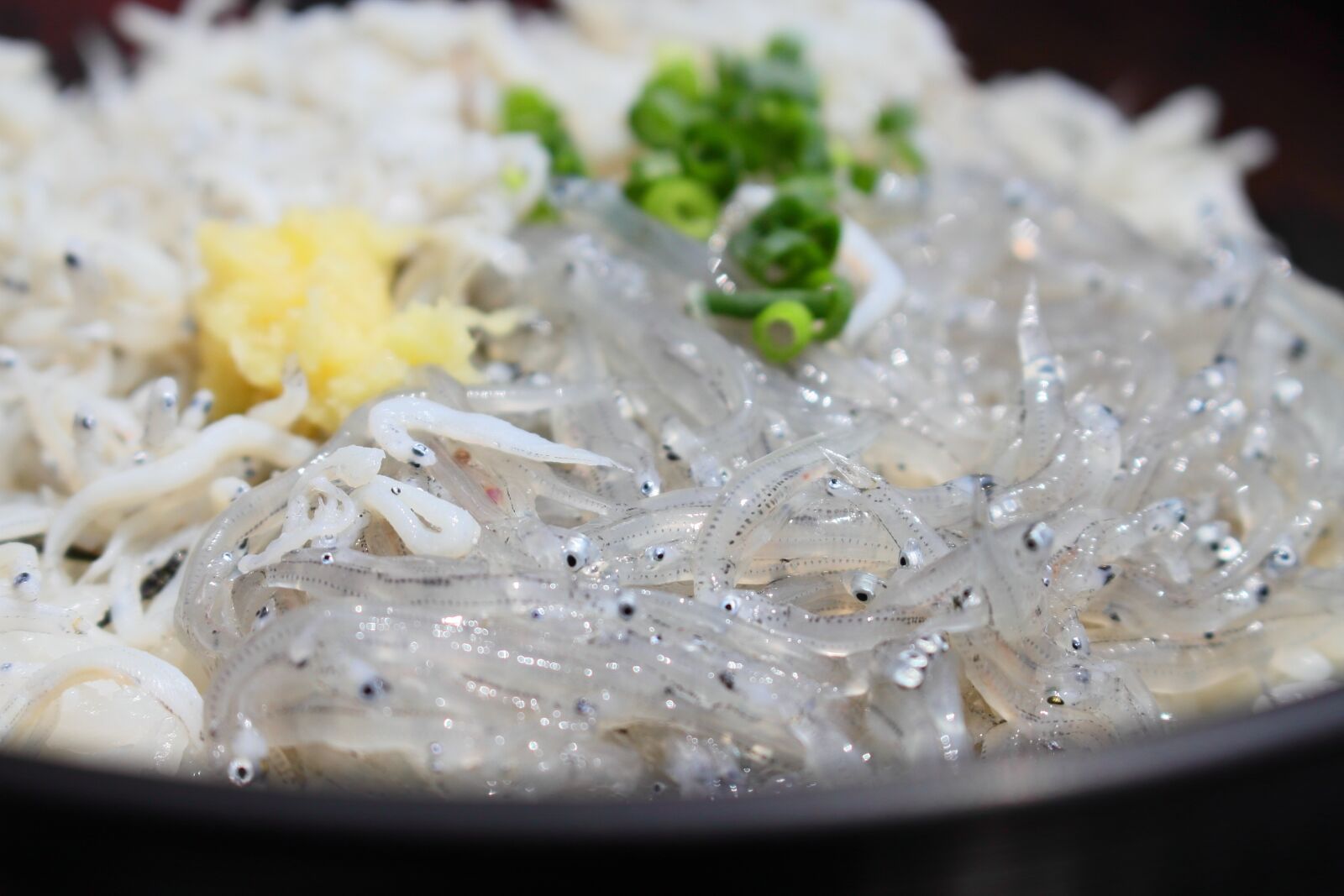 Canon EOS 7D sample photo. Shirasu, whitebait, tagonoura photography