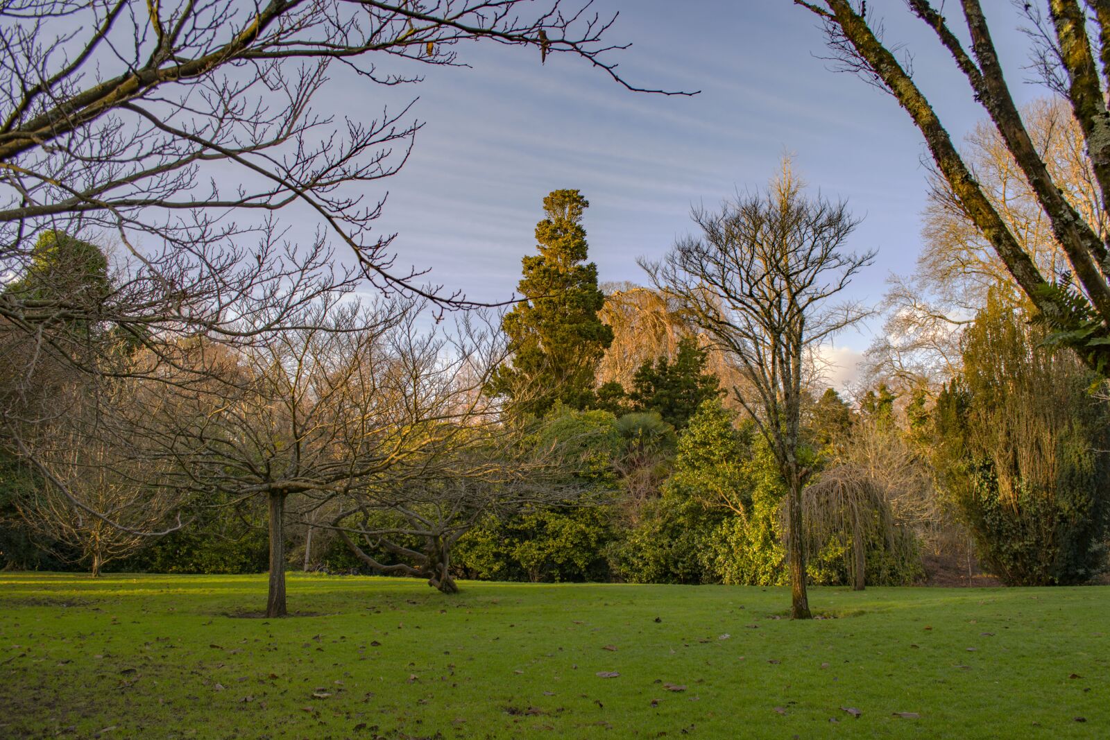 Nikon D5200 sample photo. Autumn, nature, sunset photography
