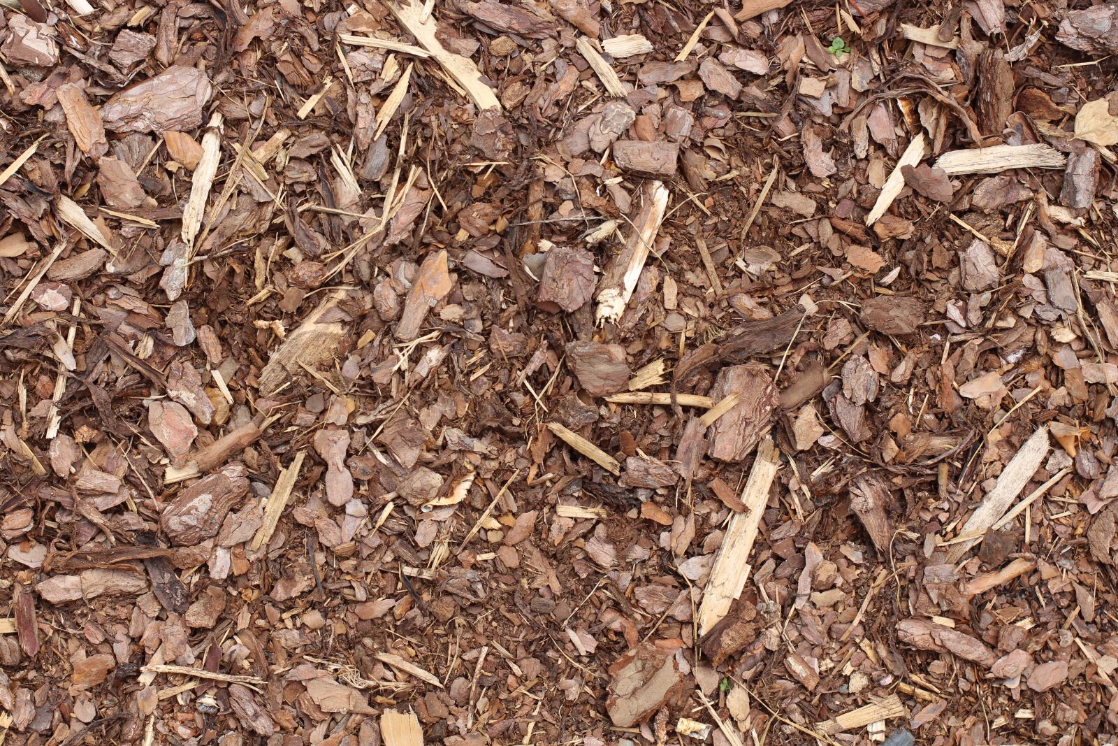 Canon EOS 700D (EOS Rebel T5i / EOS Kiss X7i) + Canon EF 50mm F1.4 USM sample photo. Bark mulch, texture, background photography