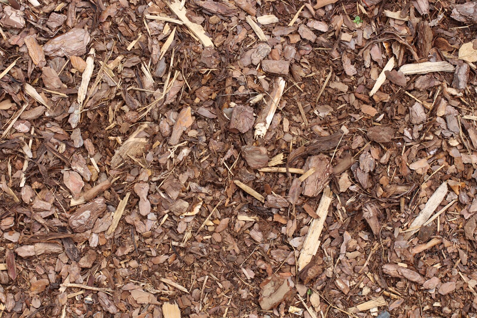 Canon EF 50mm F1.4 USM sample photo. Bark mulch, texture, background photography