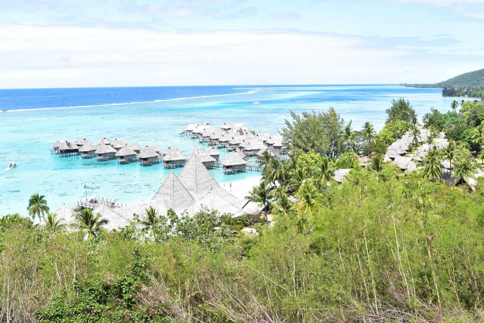 Nikon D5500 sample photo. Moorea, tahiti, travel photography