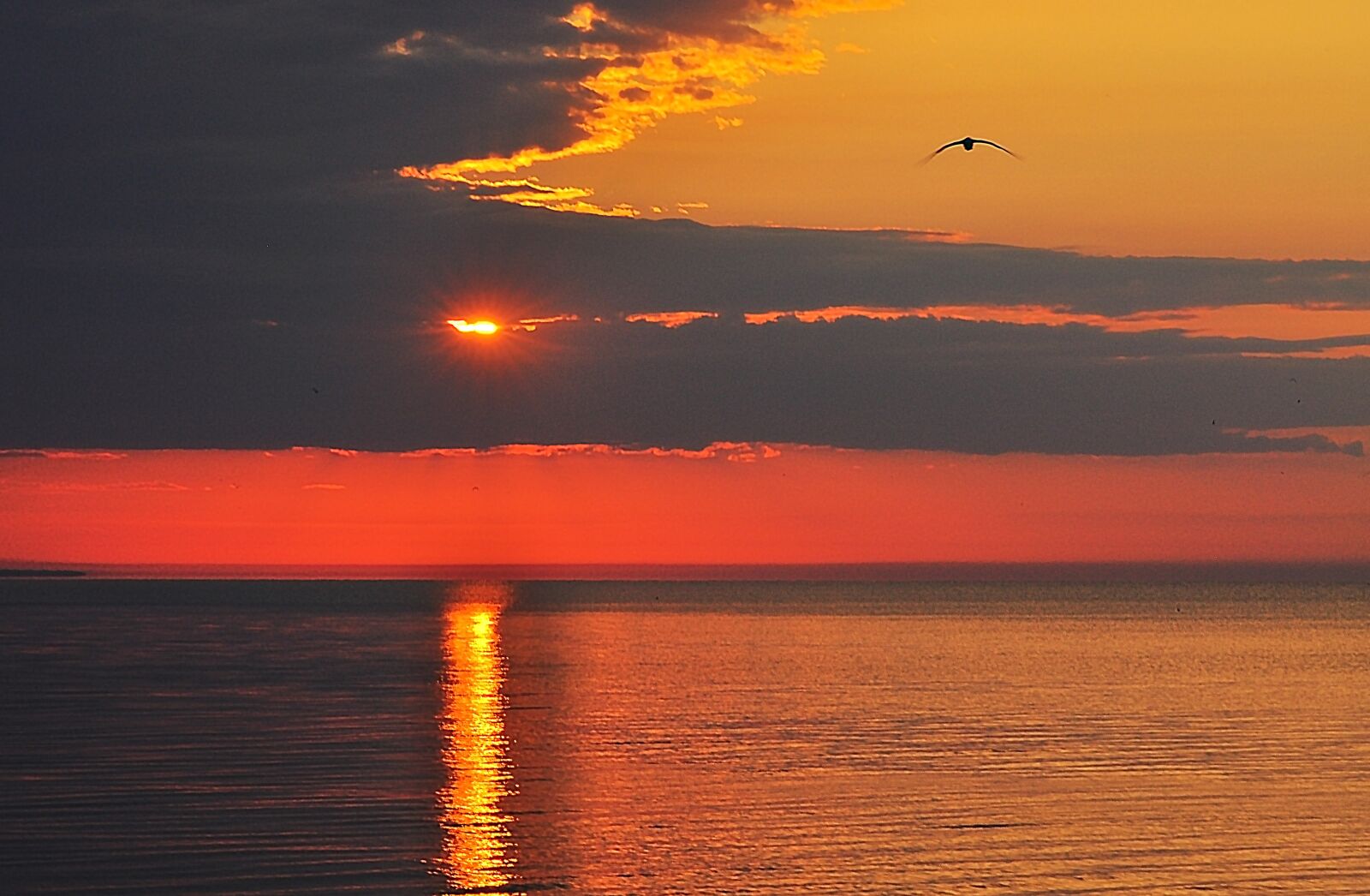 Nikon D90 sample photo. Sunset, clouds, sky photography