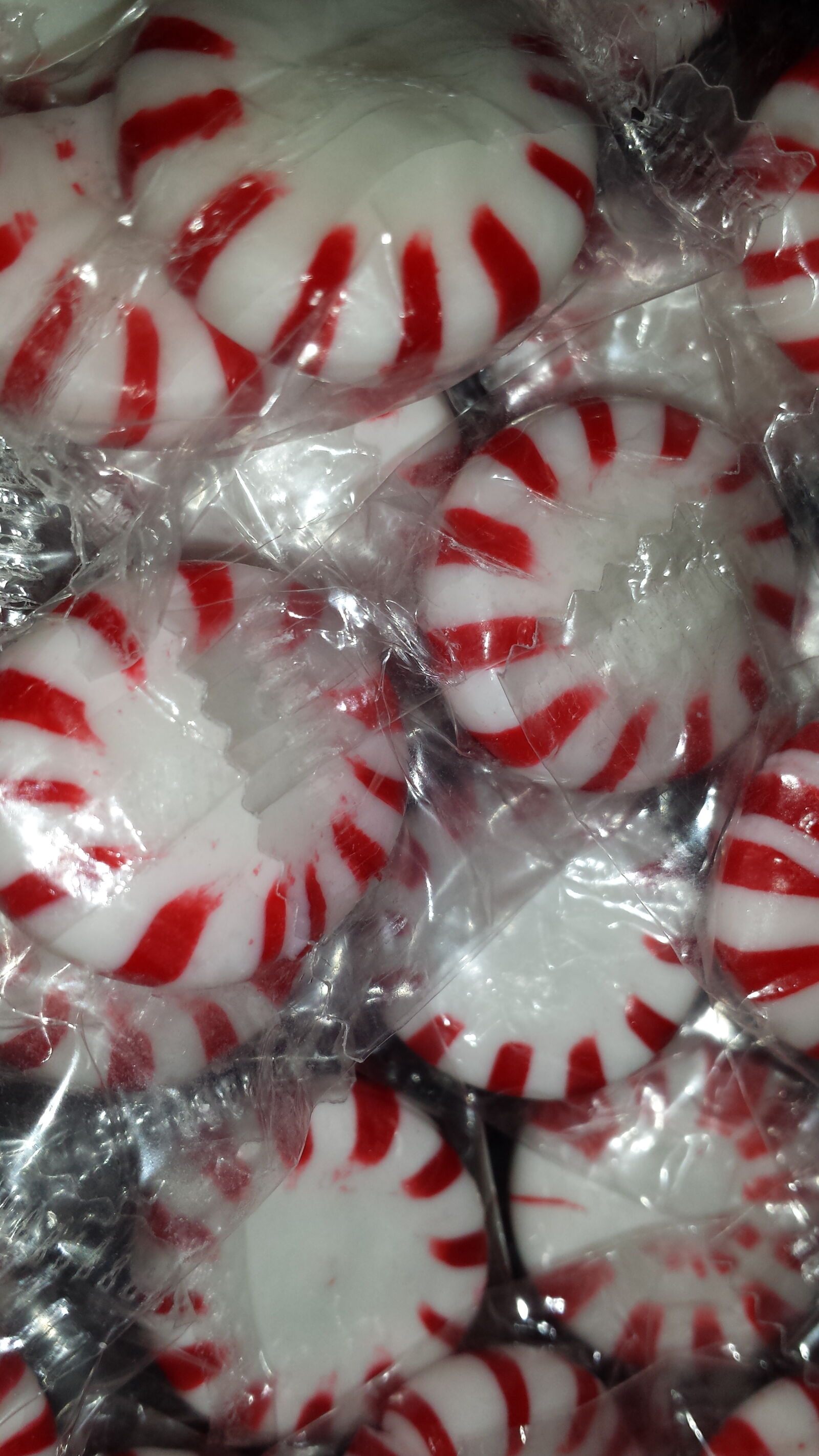 Samsung Galaxy S4 sample photo